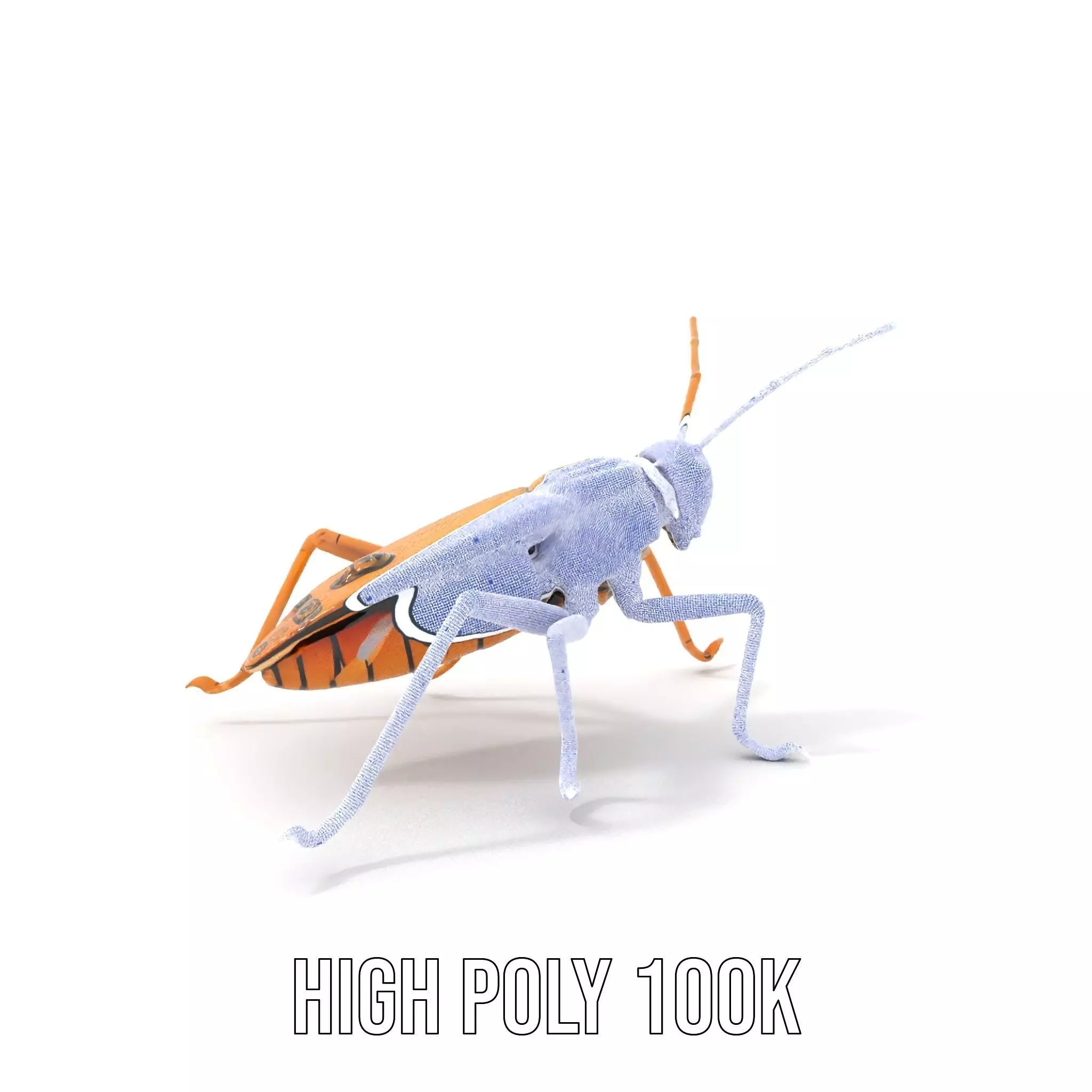 Golden Mechanical Insect model pack Low-poly 3D model_4