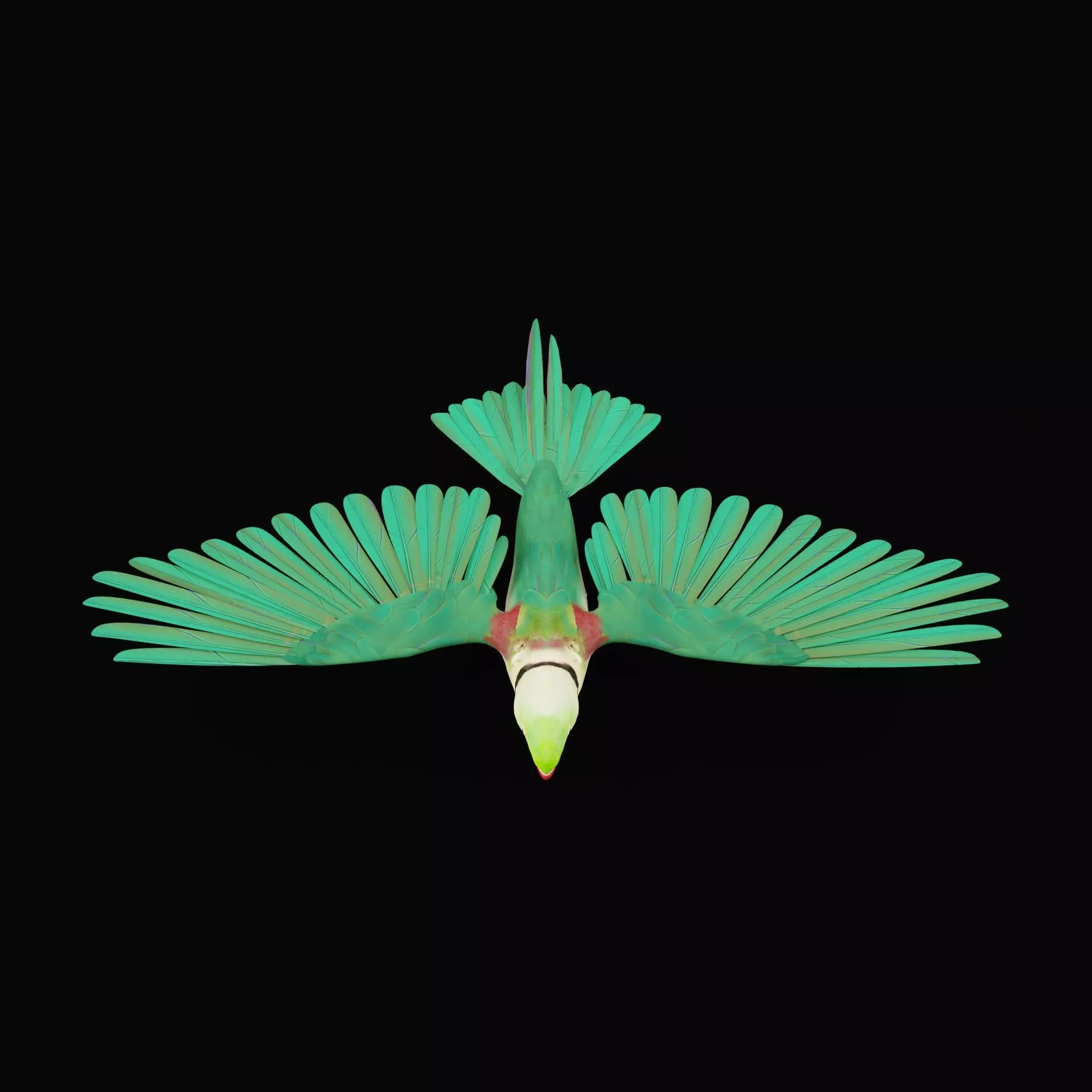 Alexandrine Parakeet Bird Low-poly 3D model_45