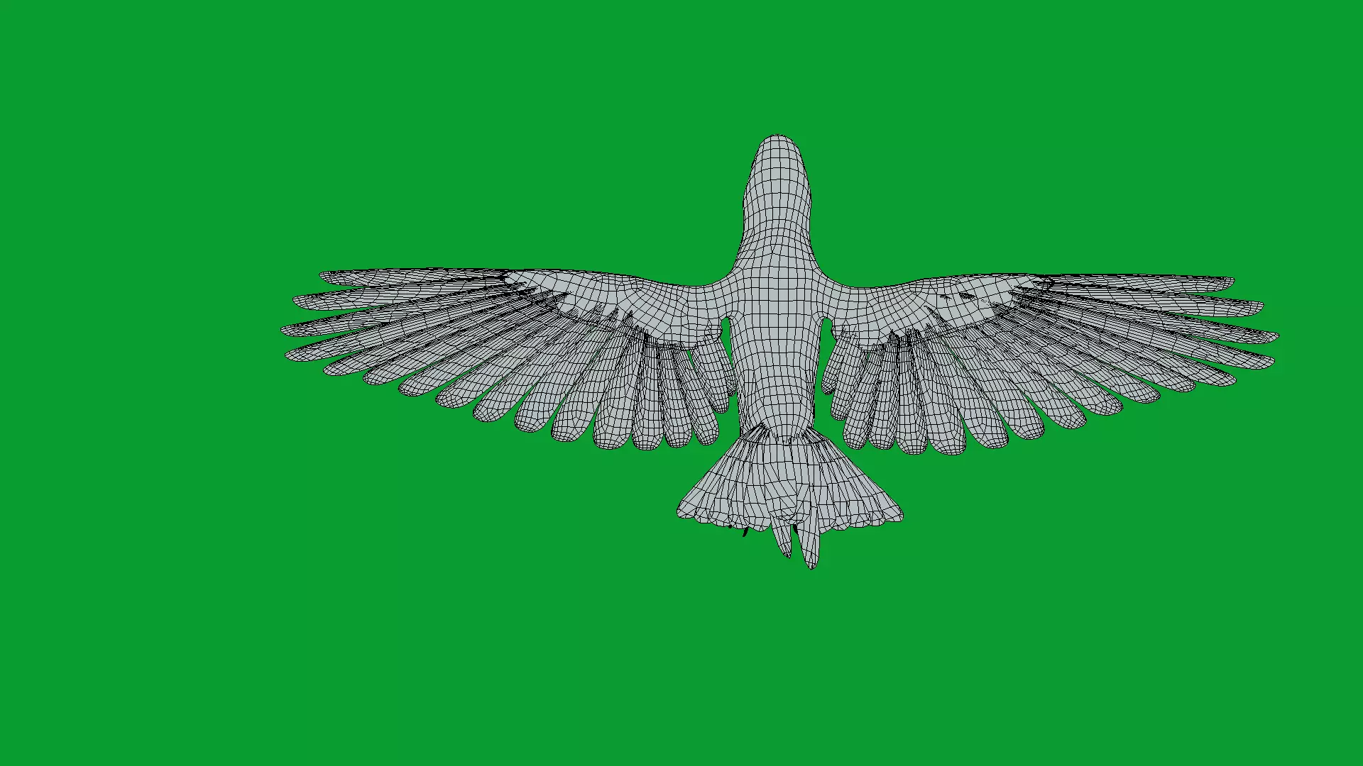 Alexandrine Parakeet Bird Low-poly 3D model_21