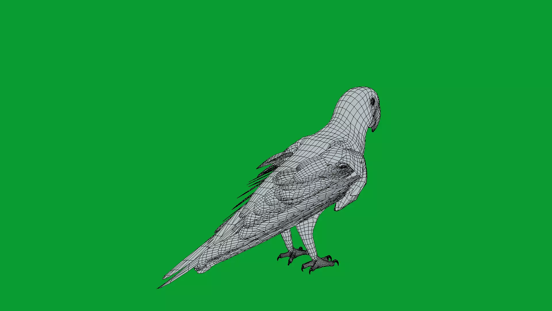 Alexandrine Parakeet Bird Low-poly 3D model_17