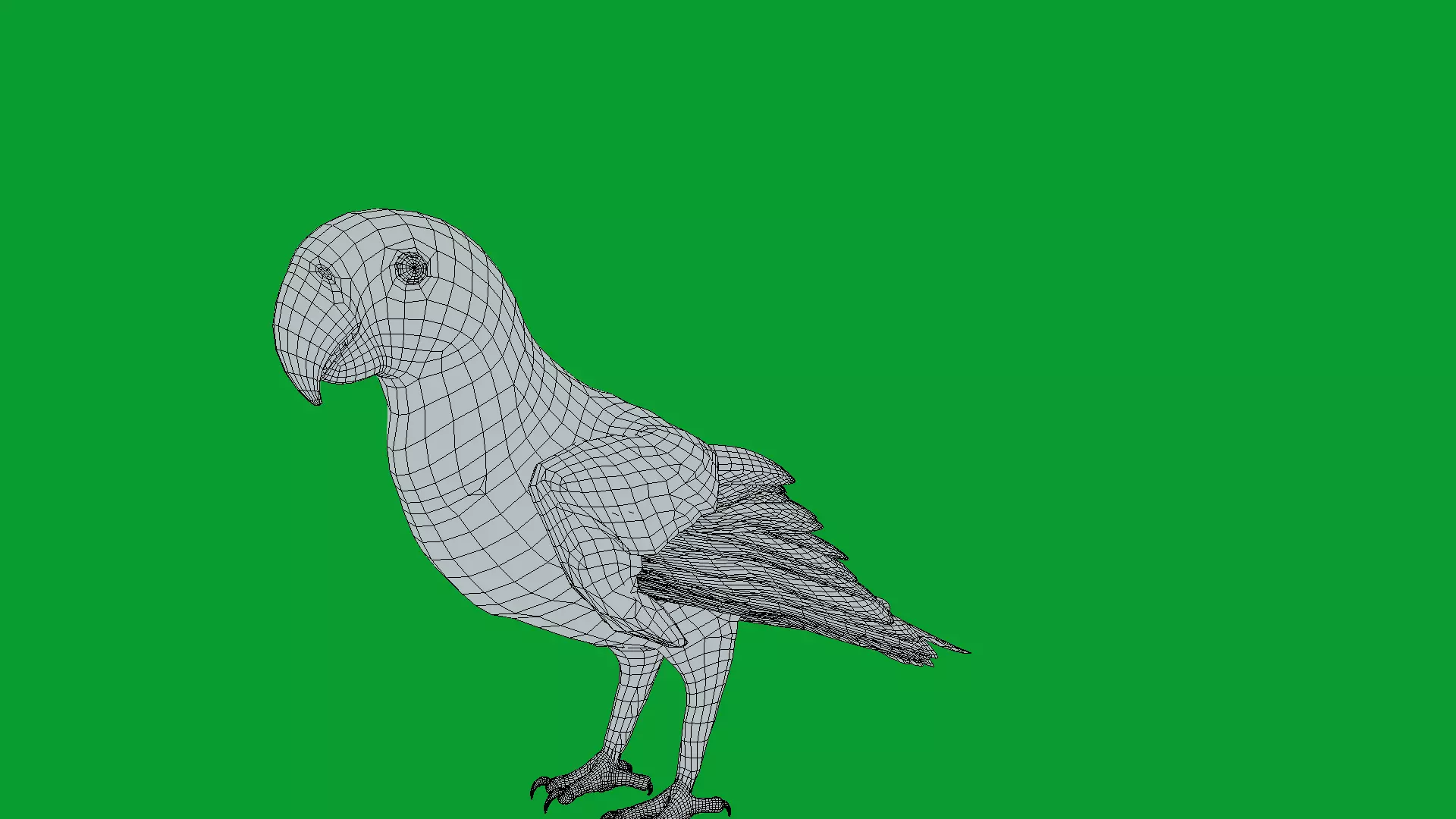 Alexandrine Parakeet Bird Low-poly 3D model_19