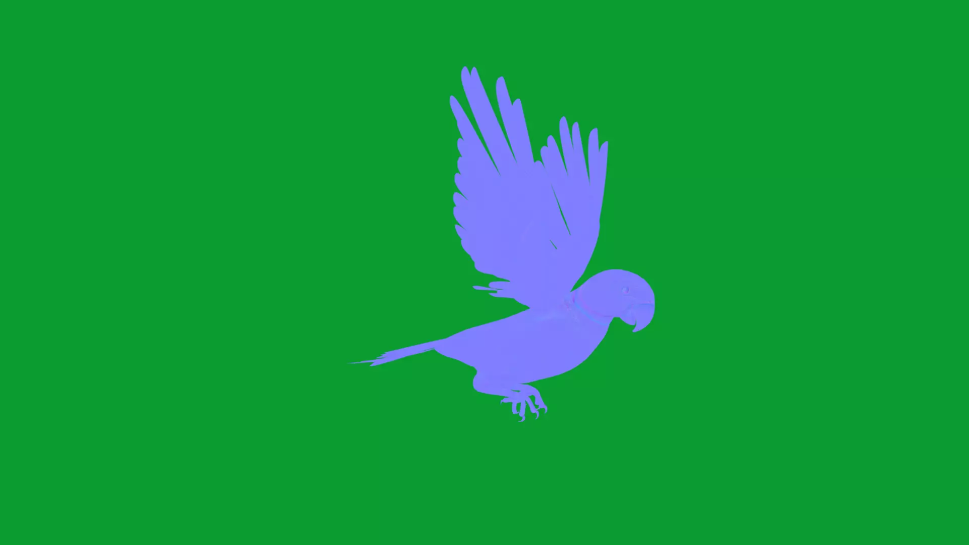 Alexandrine Parakeet Bird Low-poly 3D model_15