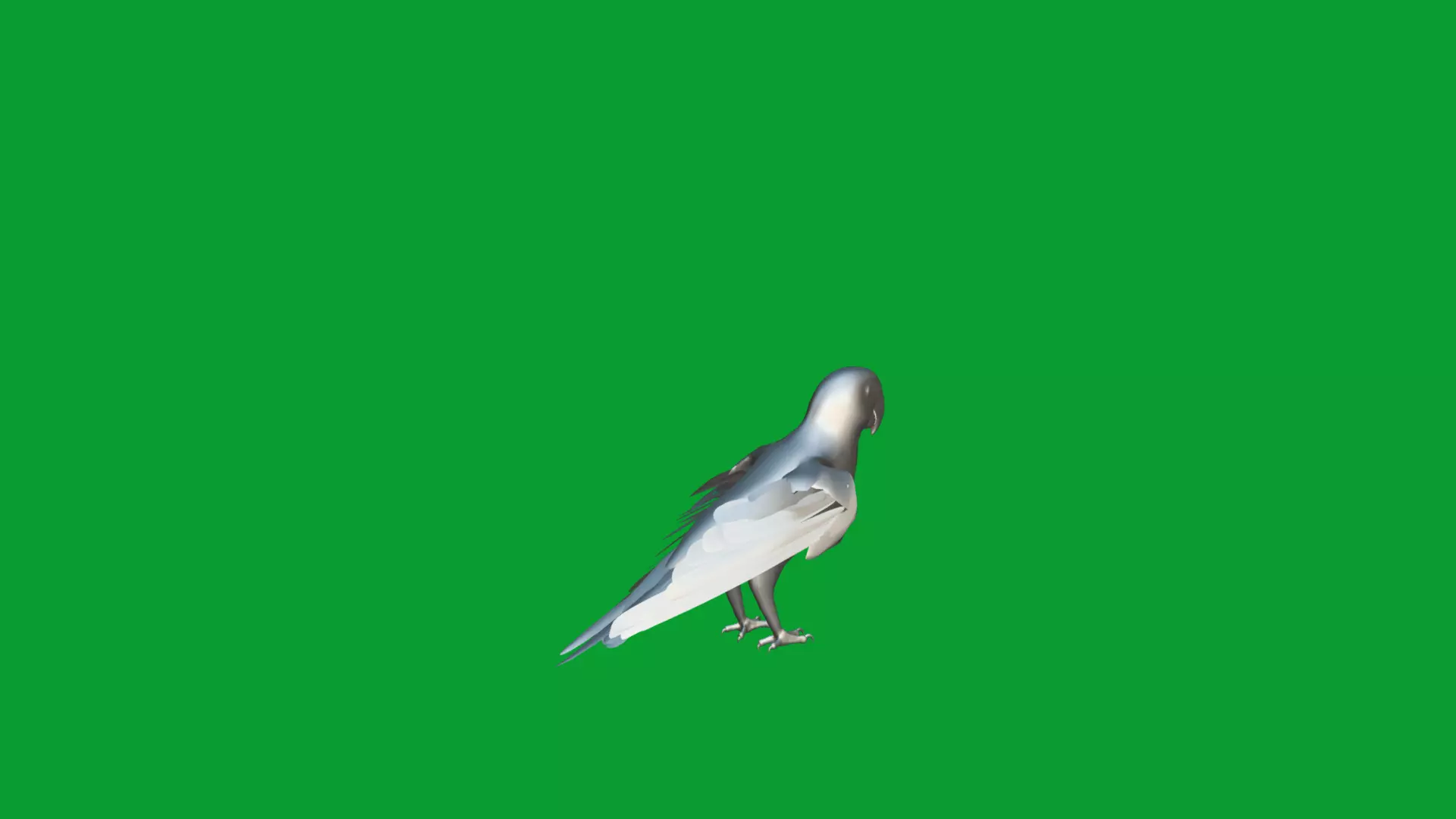 Alexandrine Parakeet Bird Low-poly 3D model_14
