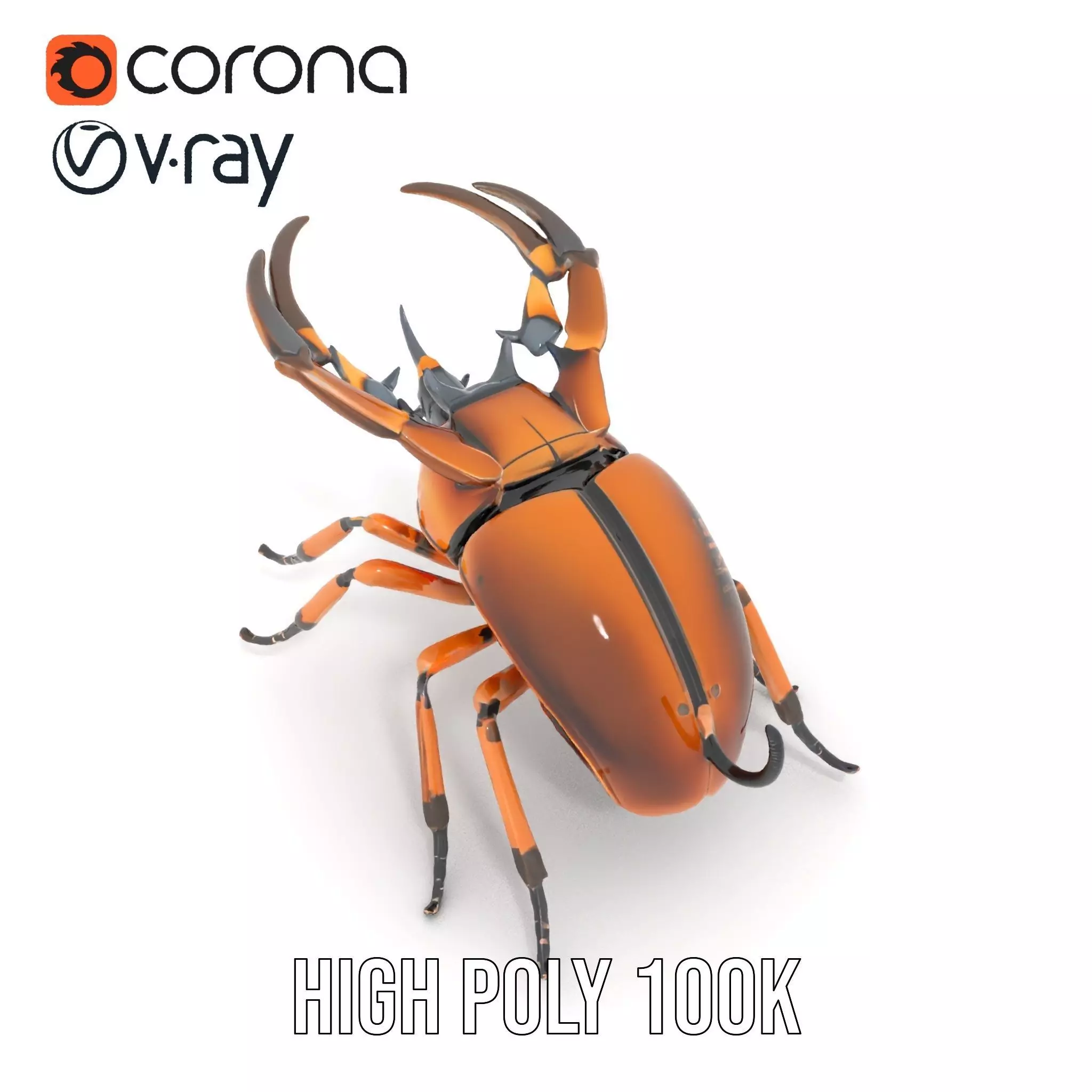 Copper Beetle model pack Low-poly 3D model_28