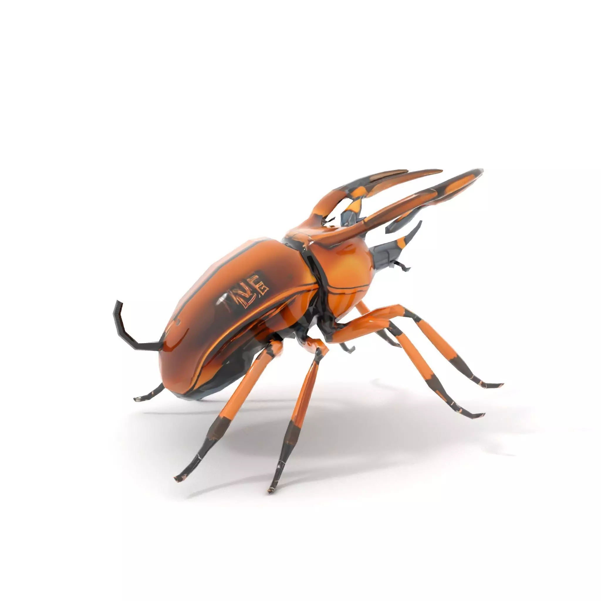 Copper Beetle model pack Low-poly 3D model_14