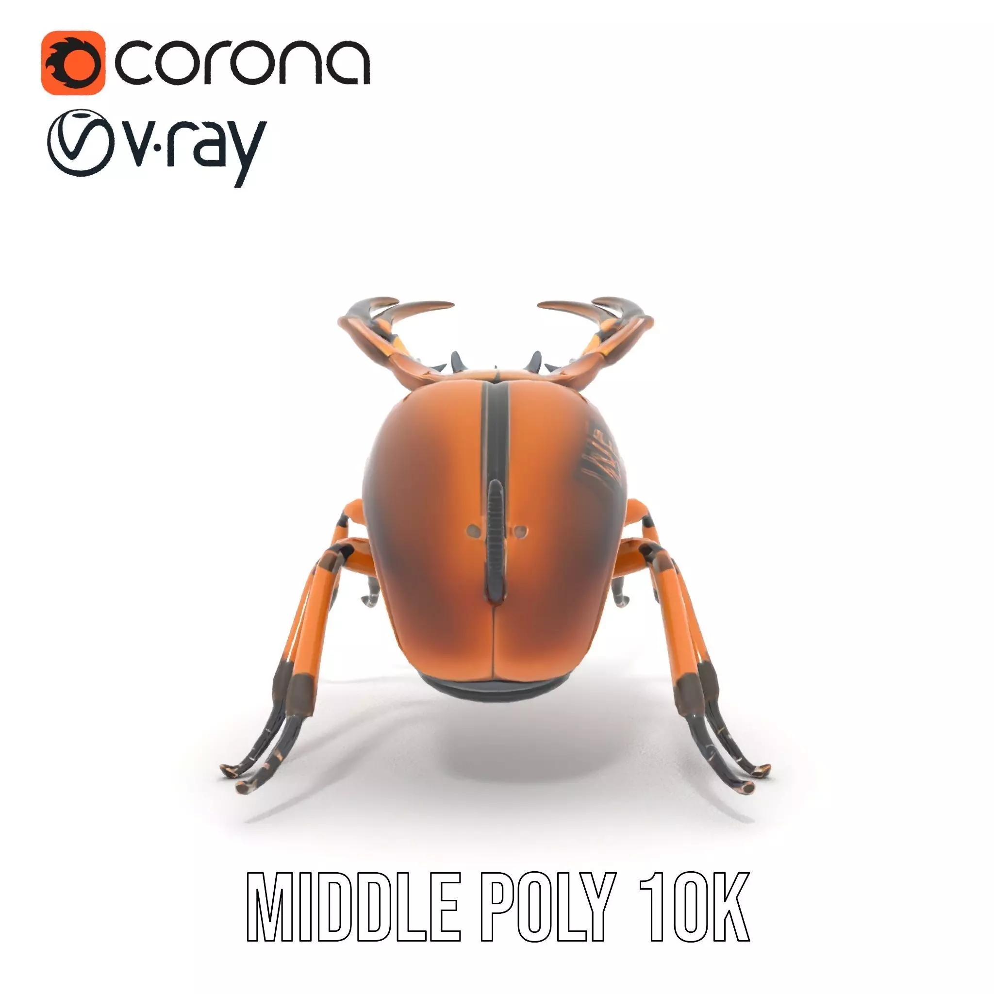 Copper Beetle model pack Low-poly 3D model_13