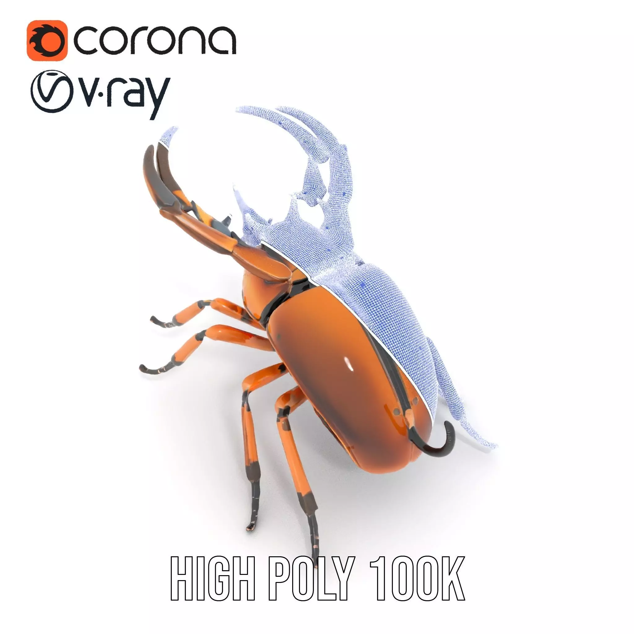 Copper Beetle model pack Low-poly 3D model_32
