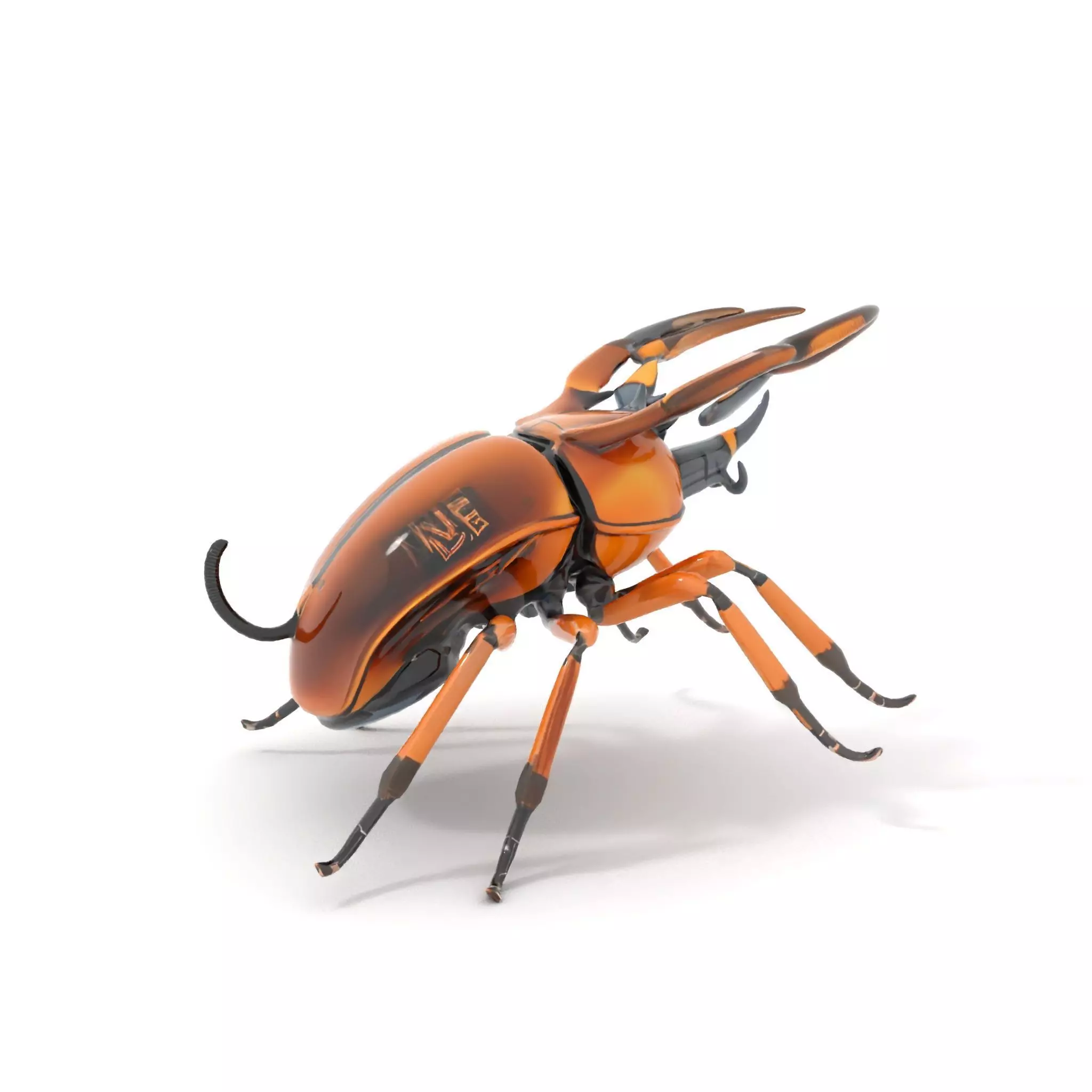 Copper Beetle model pack Low-poly 3D model_15