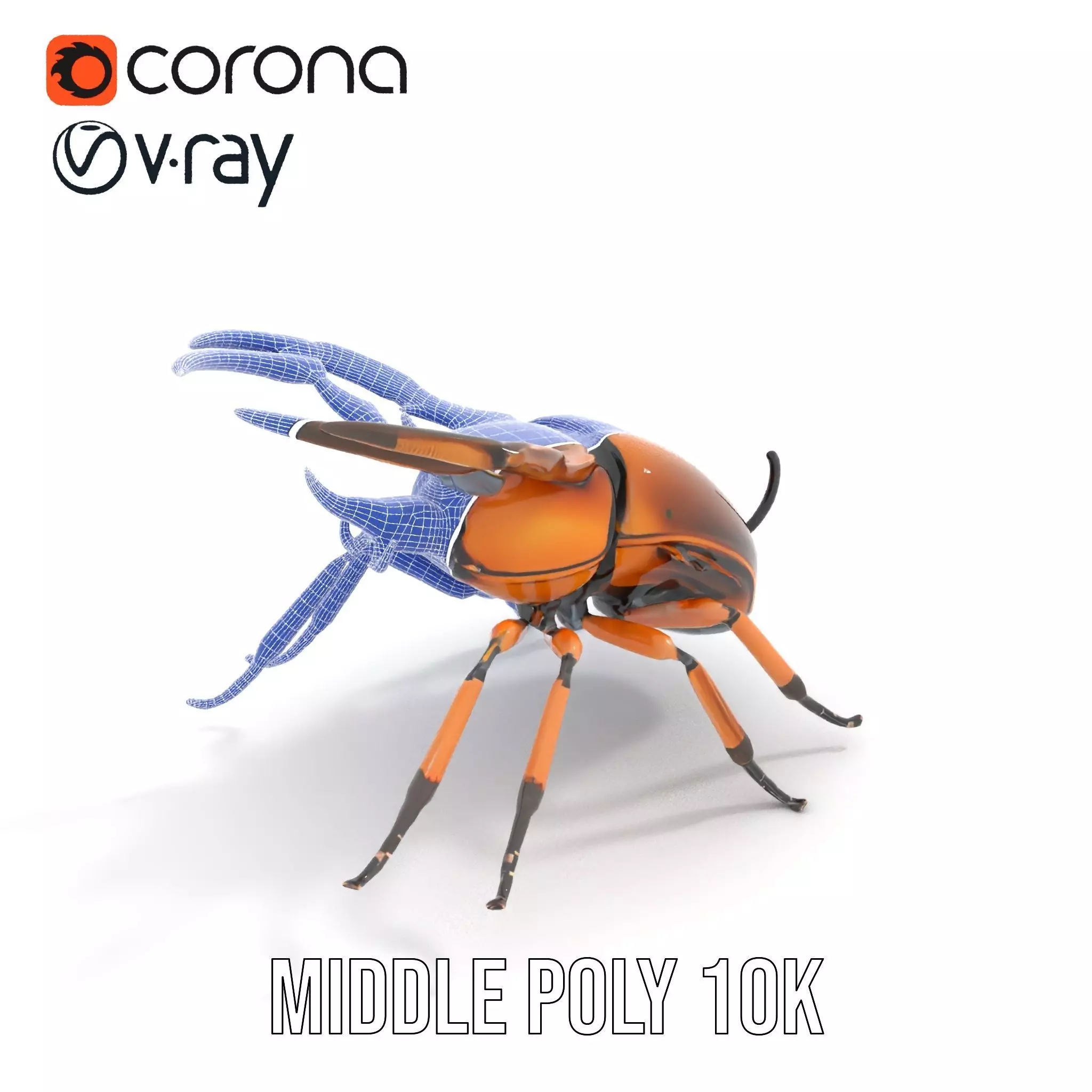Copper Beetle model pack Low-poly 3D model_21