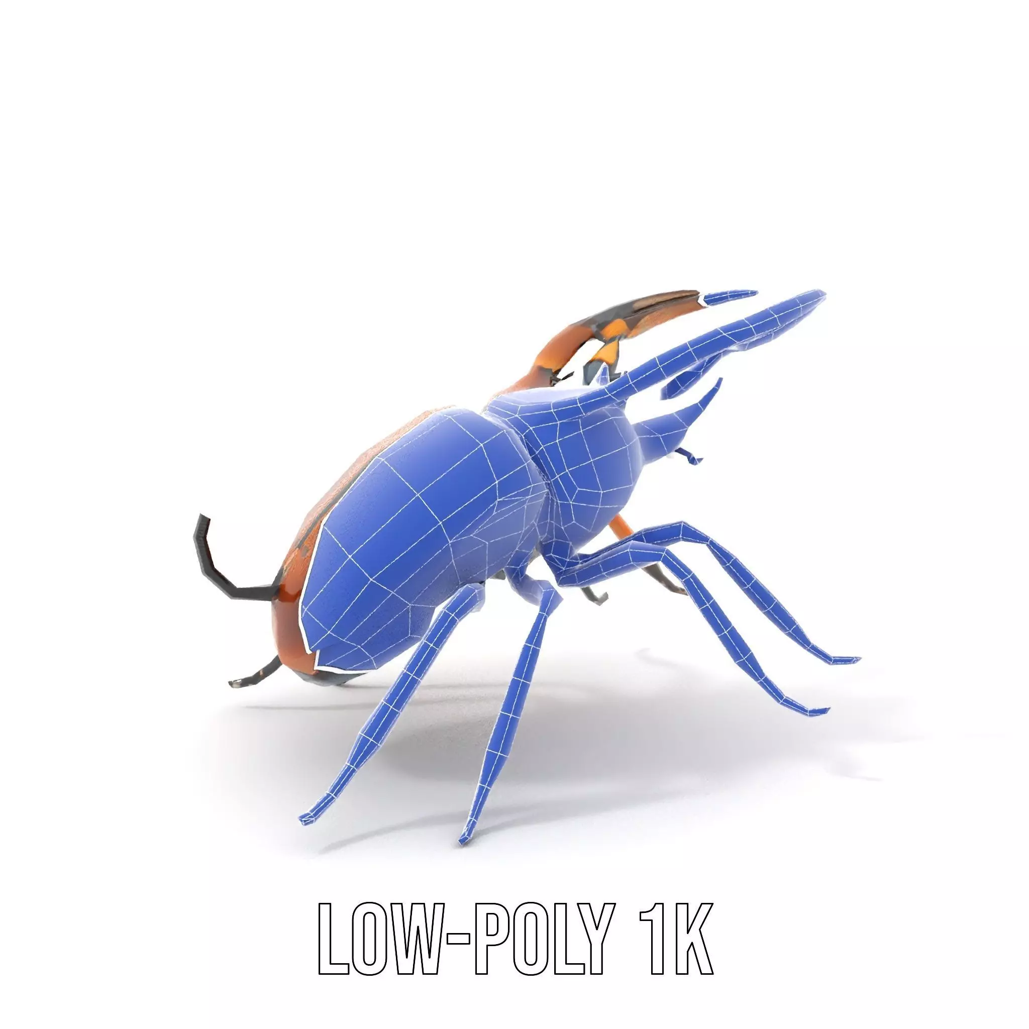 Copper Beetle model pack Low-poly 3D model_9