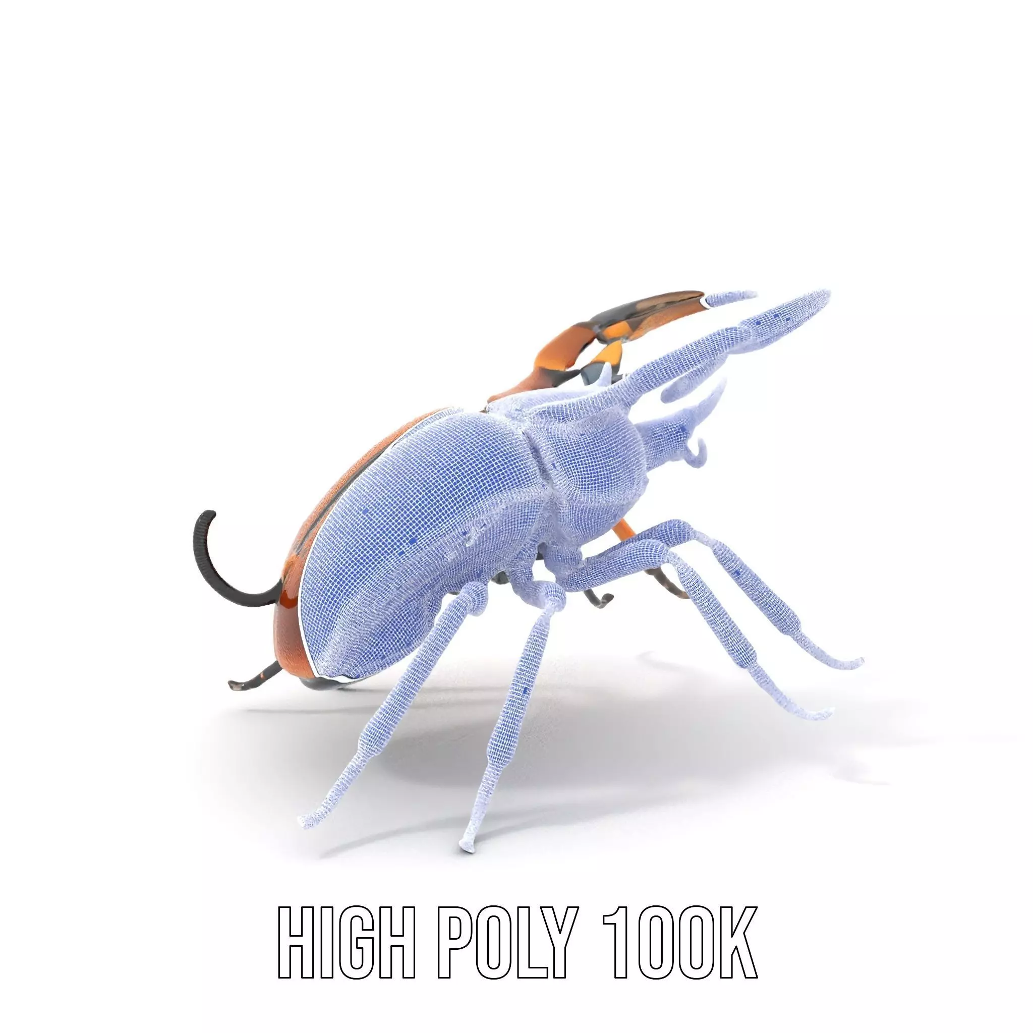 Copper Beetle model pack Low-poly 3D model_4