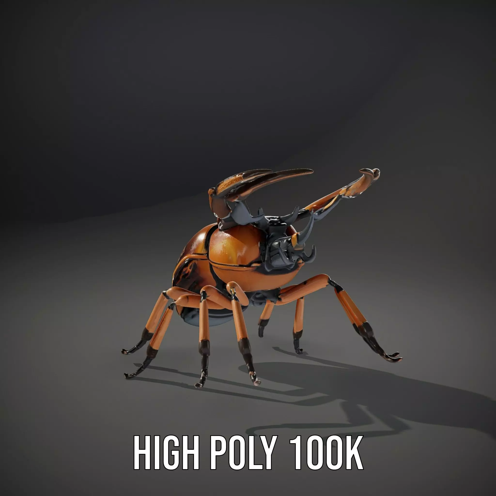 Copper Beetle model pack Low-poly 3D model_8