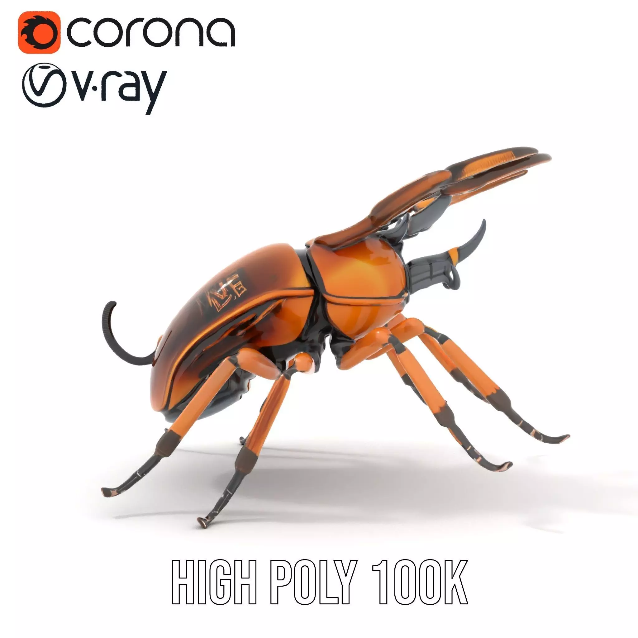 Copper Beetle model pack Low-poly 3D model_23