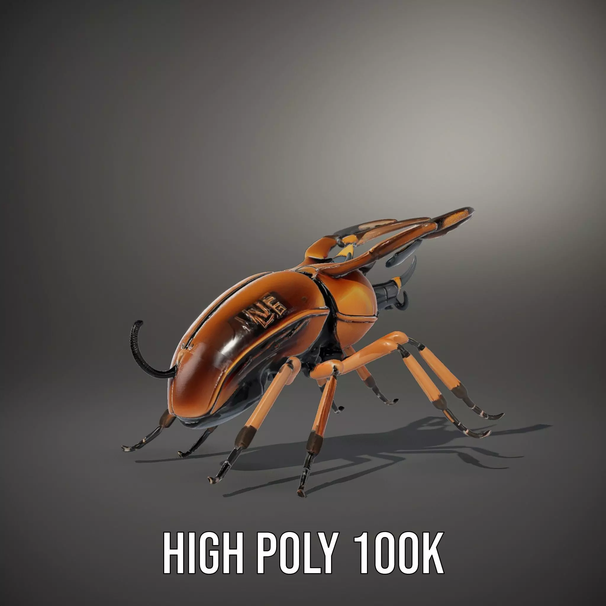 Copper Beetle model pack Low-poly 3D model_10