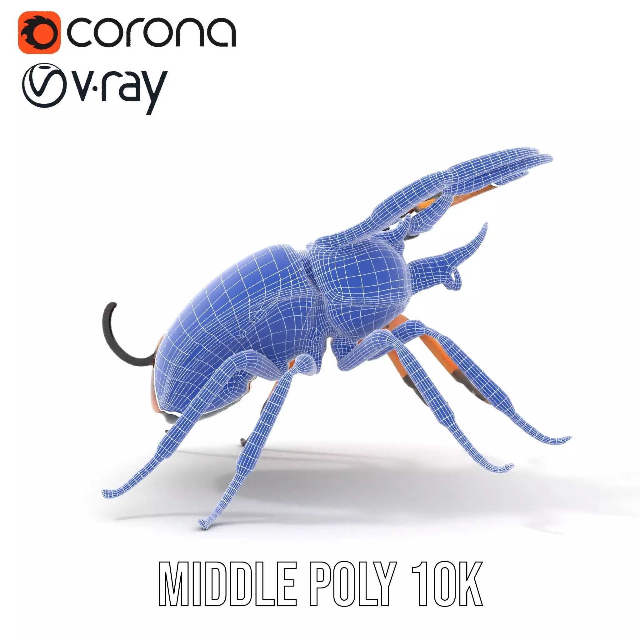 Copper Beetle model pack Low-poly 3D model_29