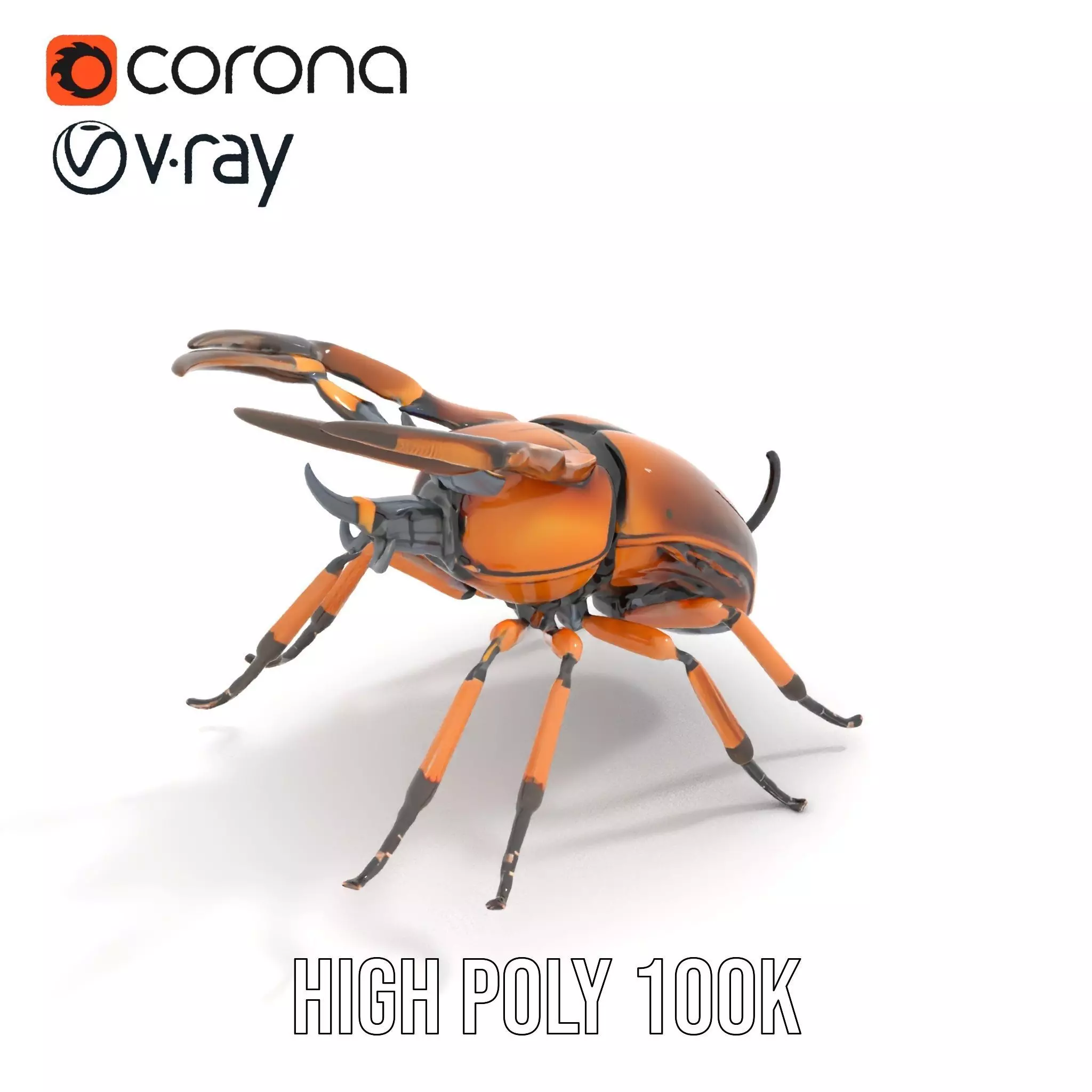 Copper Beetle model pack Low-poly 3D model_17