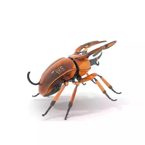 Copper Beetle model pack Low-poly 3D model Copper Beetle model pack Low-poly 3D model