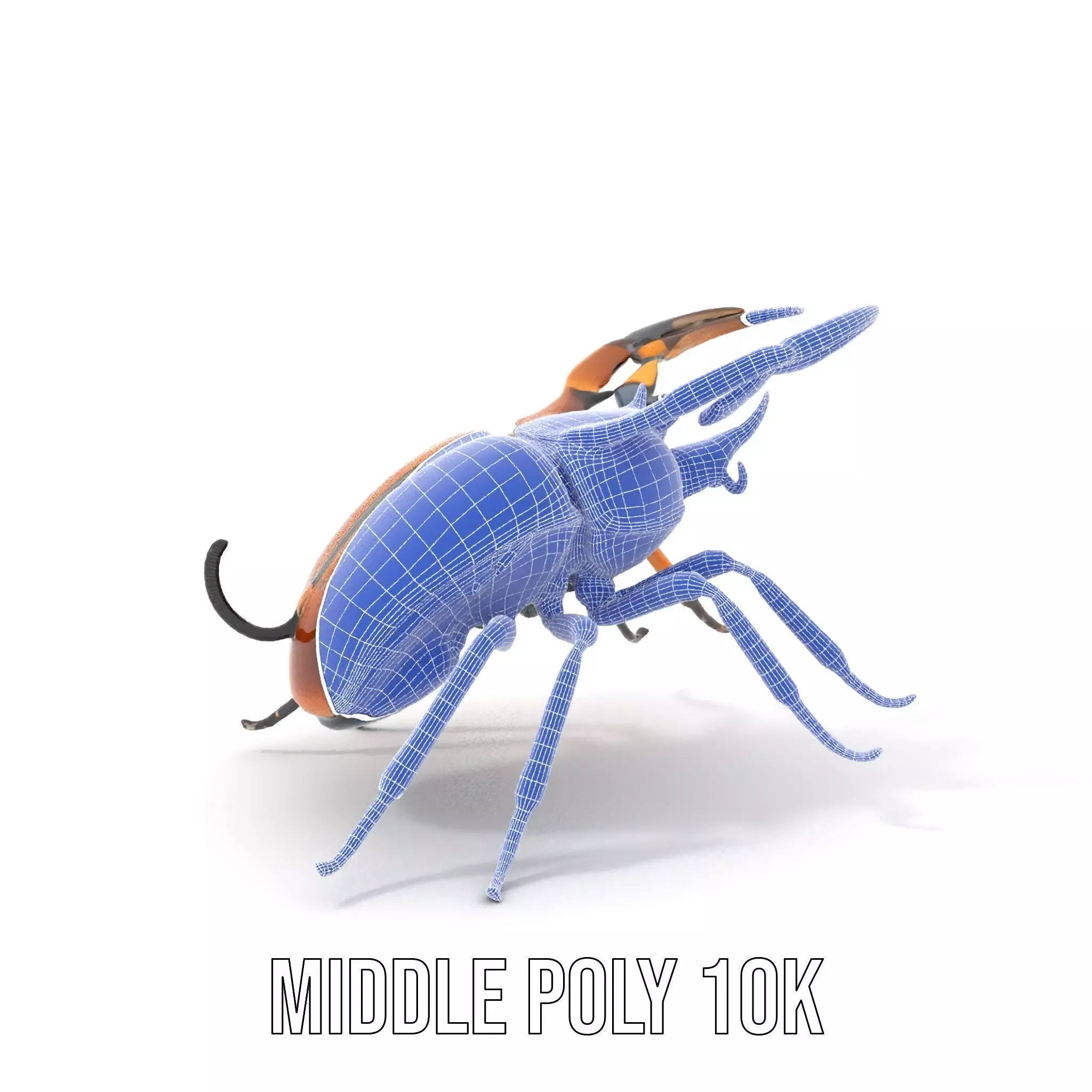 Copper Beetle model pack Low-poly 3D model_11