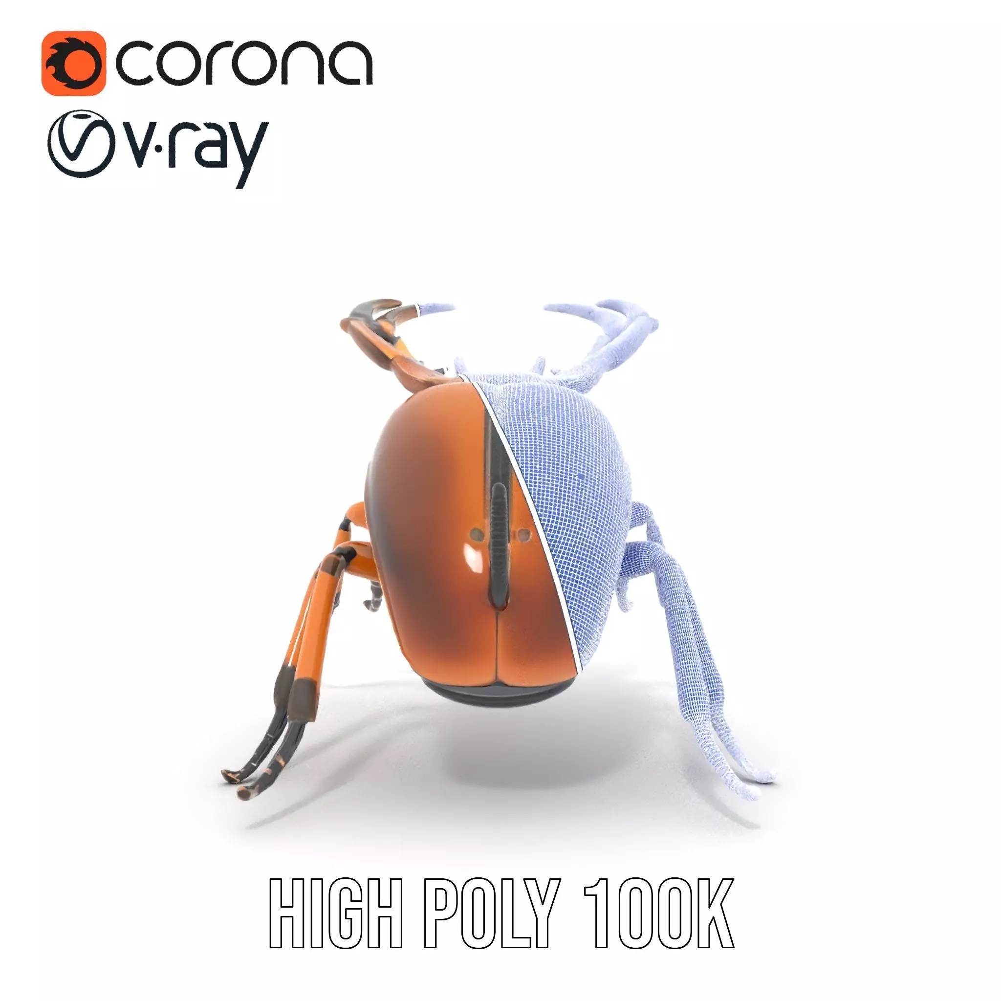 Copper Beetle model pack Low-poly 3D model_33