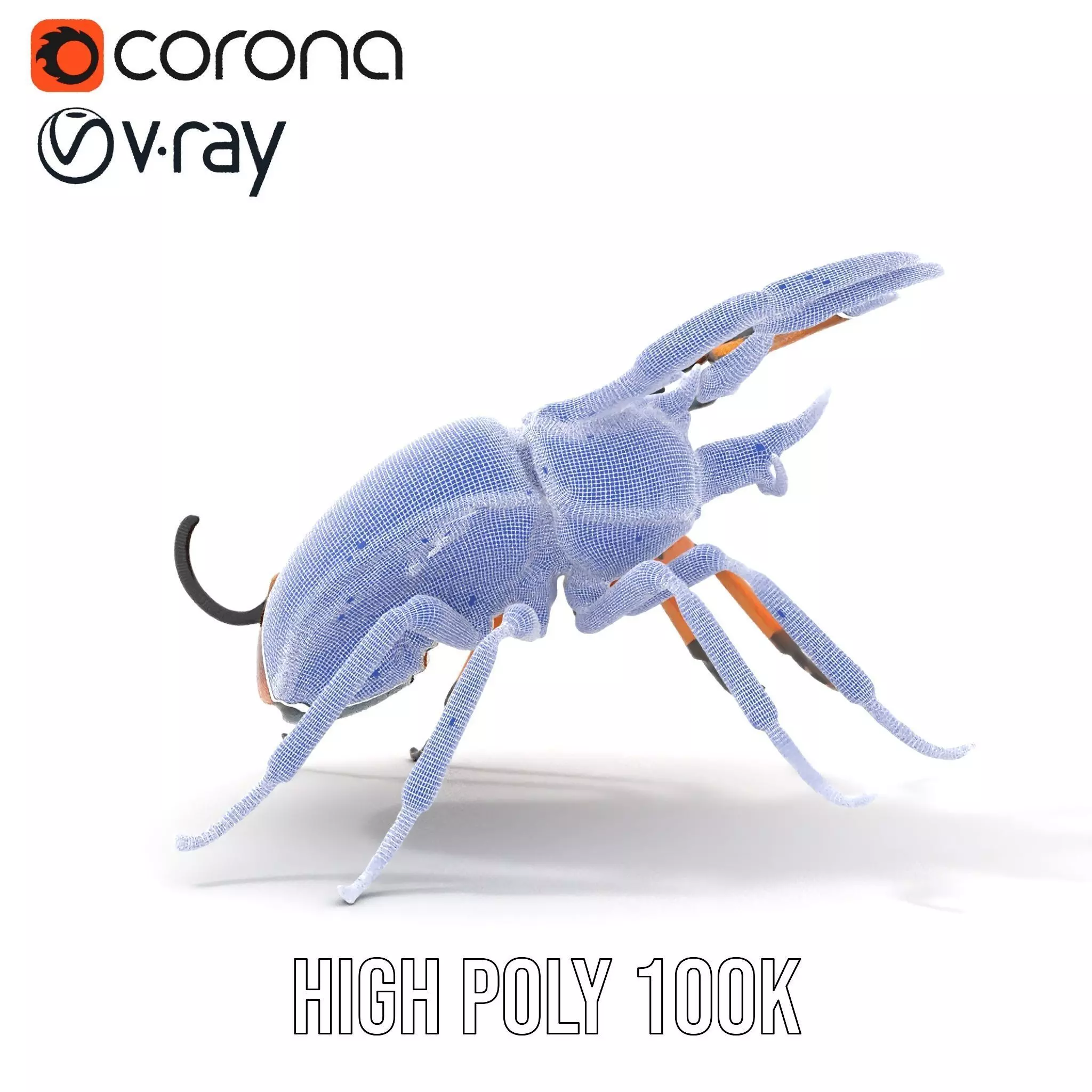 Copper Beetle model pack Low-poly 3D model_34