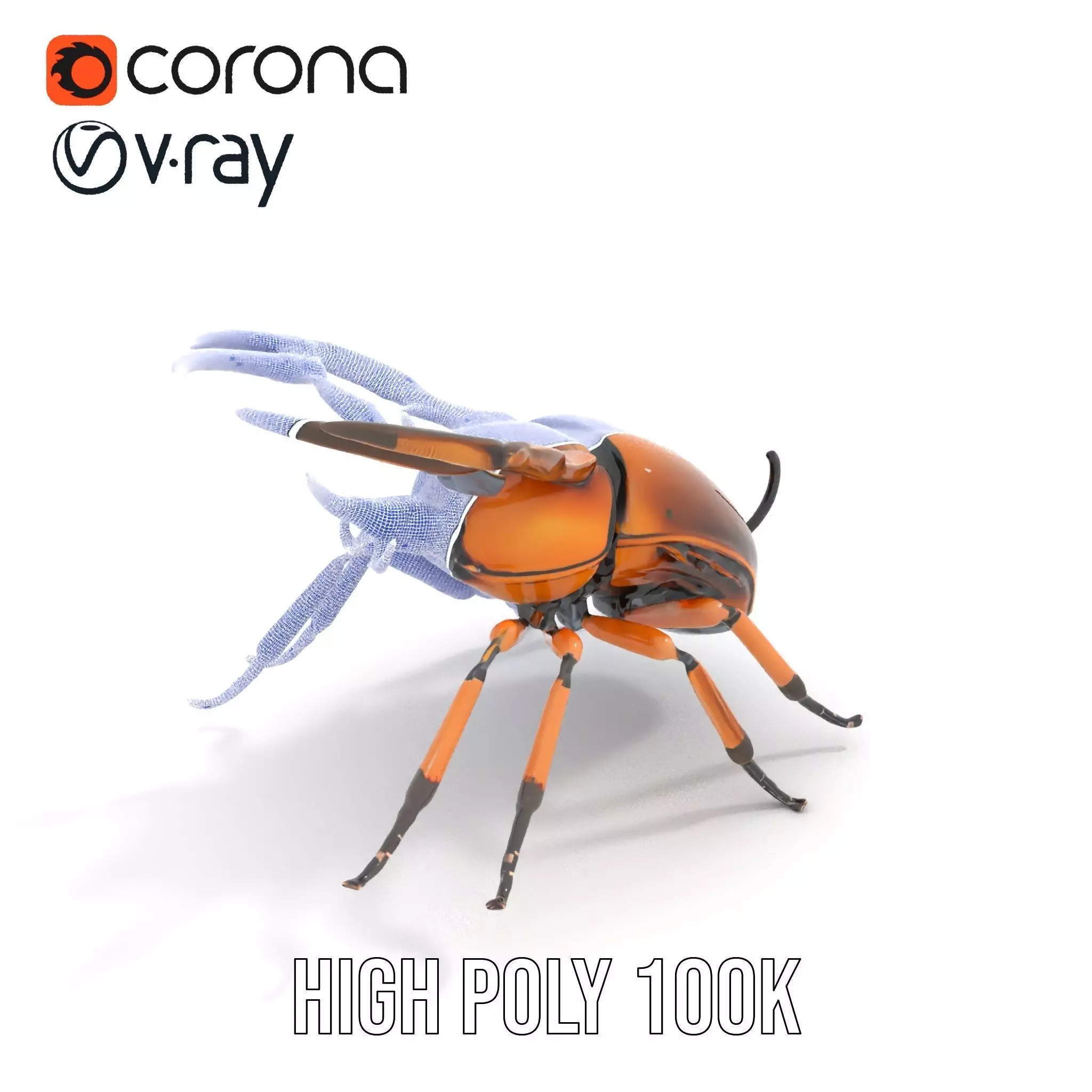Copper Beetle model pack Low-poly 3D model_31
