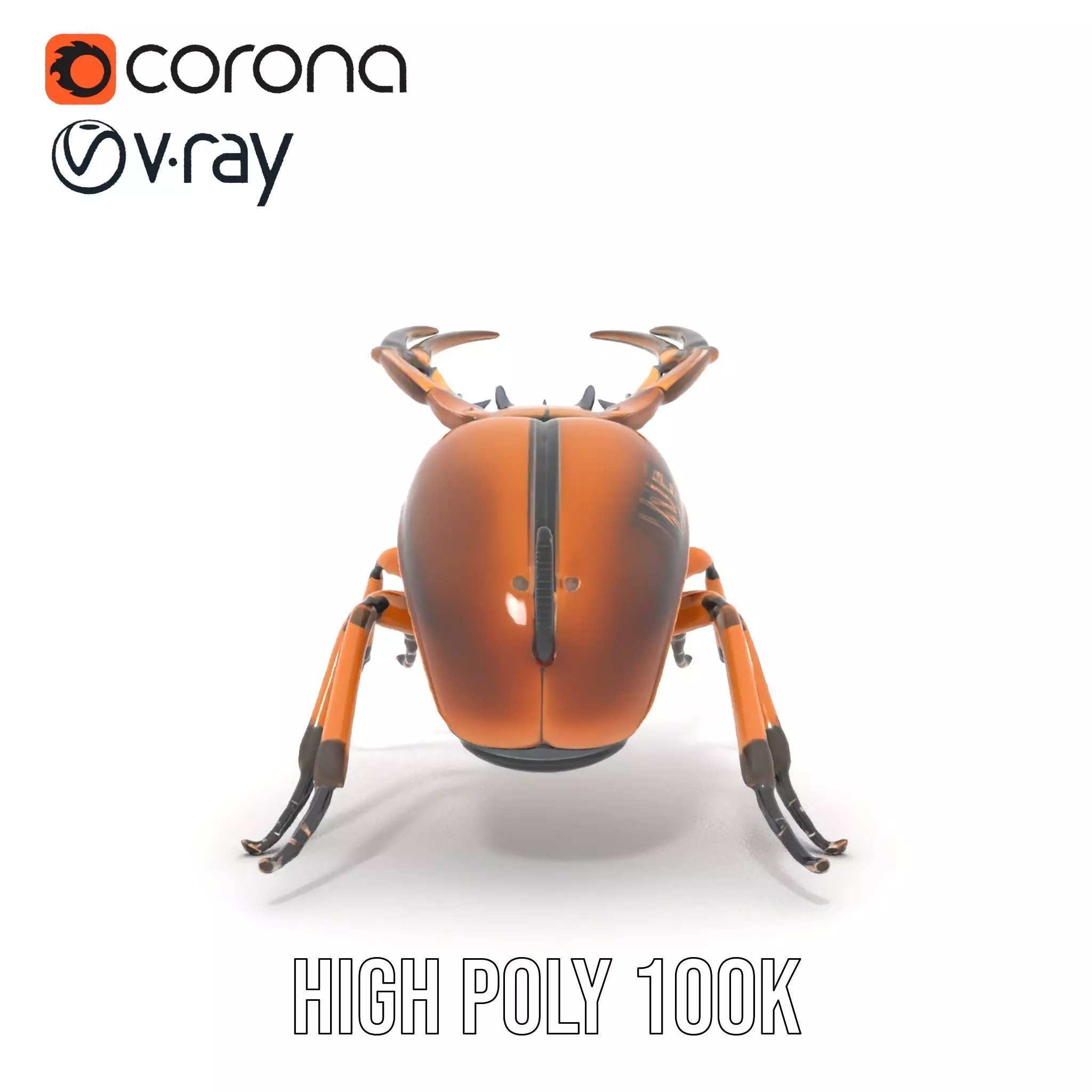 Copper Beetle model pack Low-poly 3D model_20