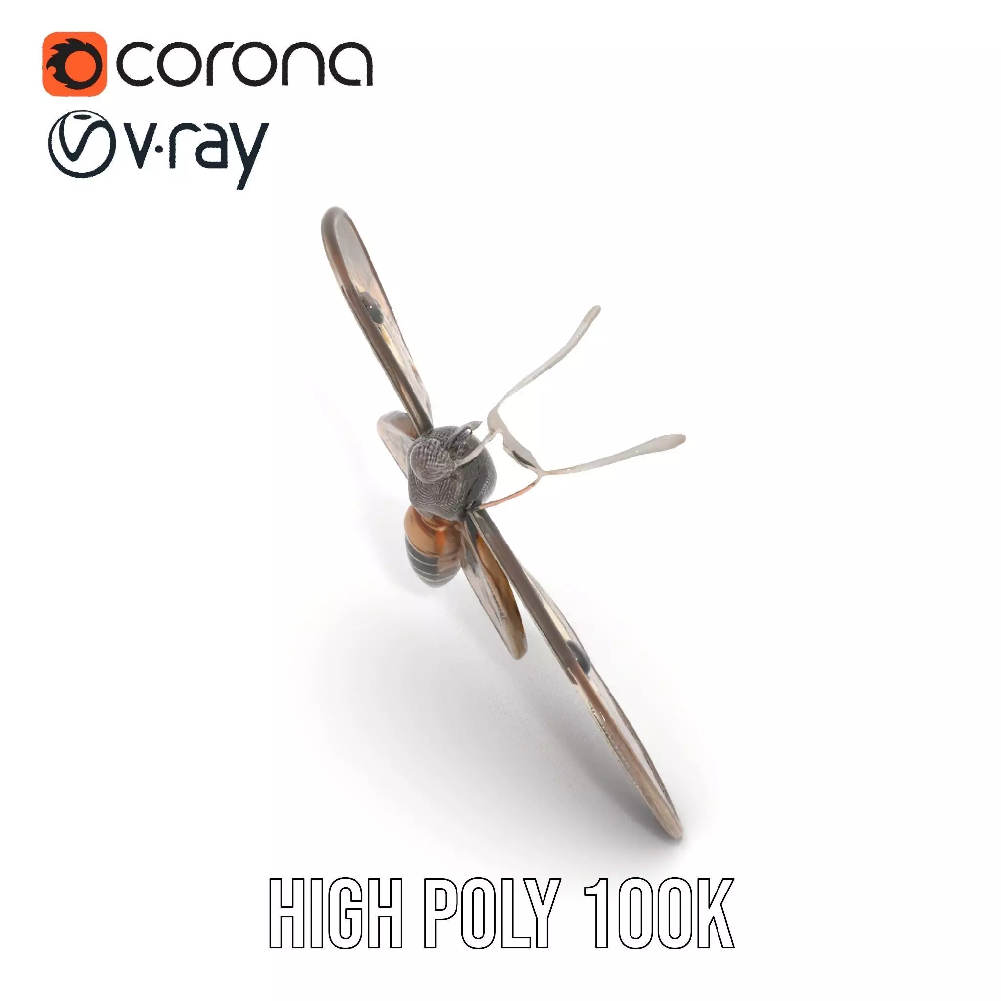 Elegant Mechanical Moth model pack Low-poly 3D model_18