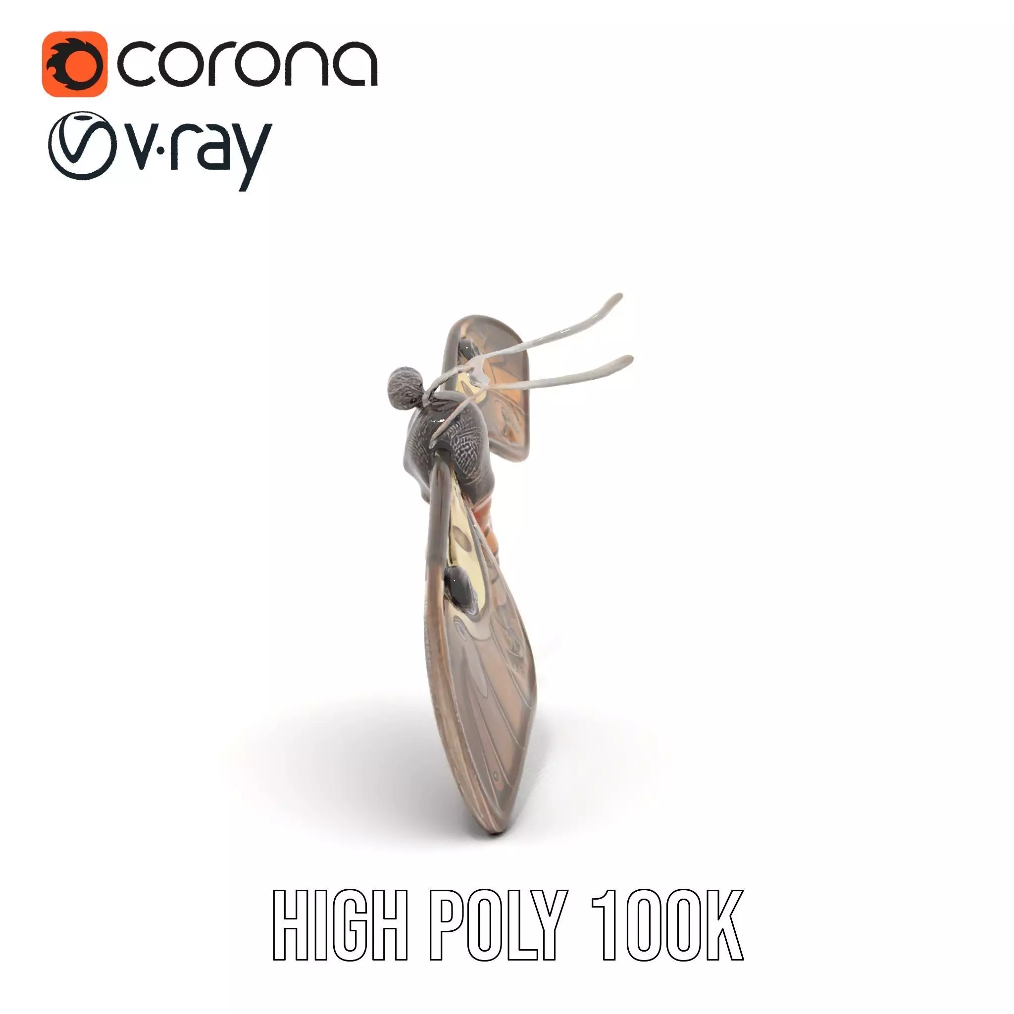 Elegant Mechanical Moth model pack Low-poly 3D model_33