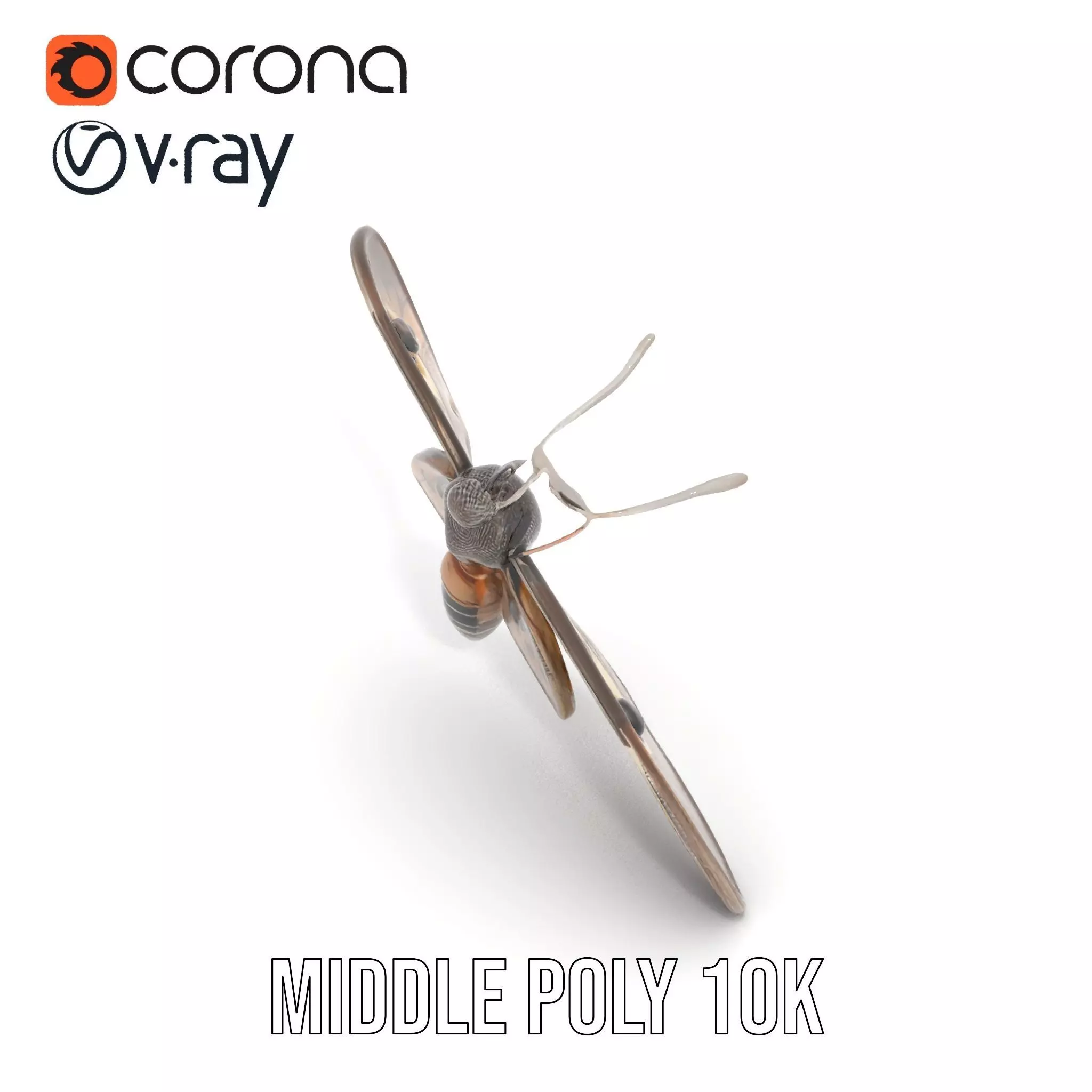 Elegant Mechanical Moth model pack Low-poly 3D model_6