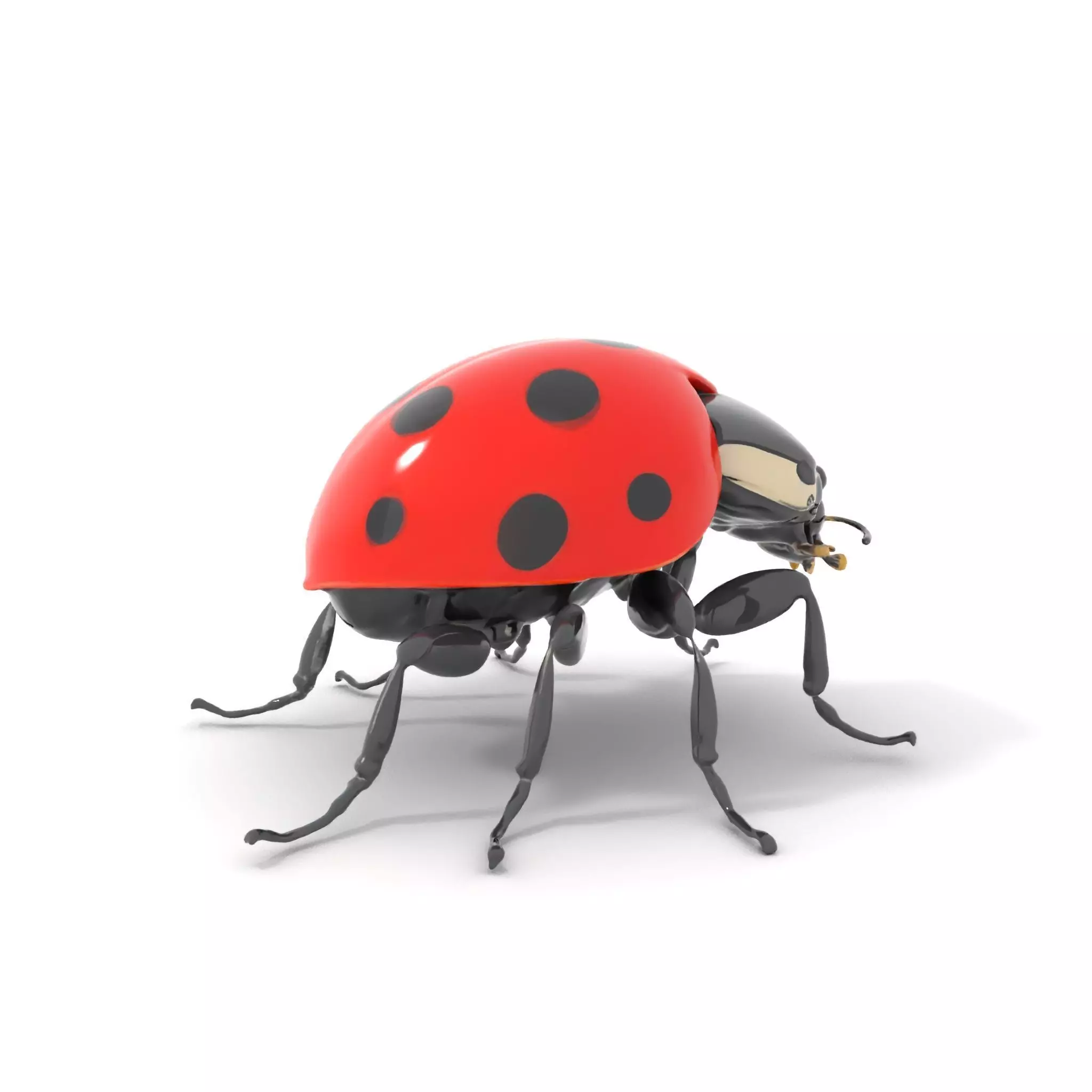 Vibrant Ladybug model pack Low-poly 3D model_0