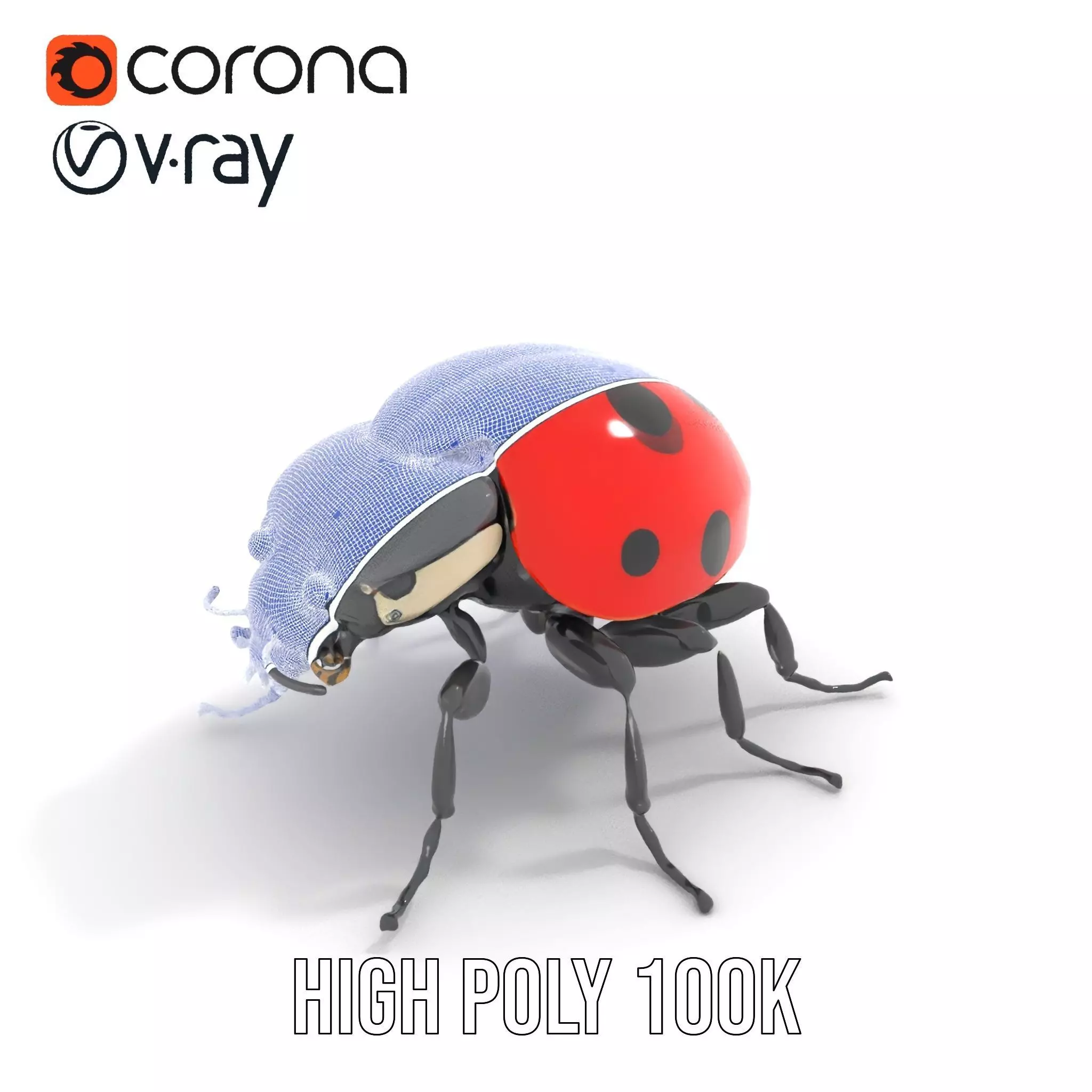 Vibrant Ladybug model pack Low-poly 3D model_33