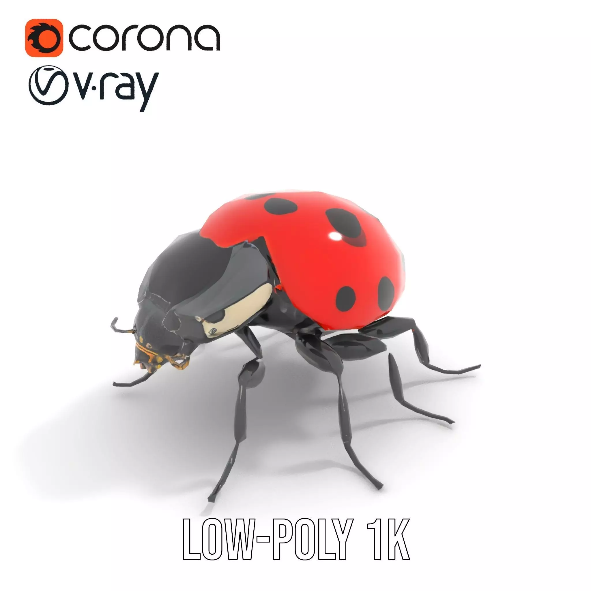 Vibrant Ladybug model pack Low-poly 3D model_19