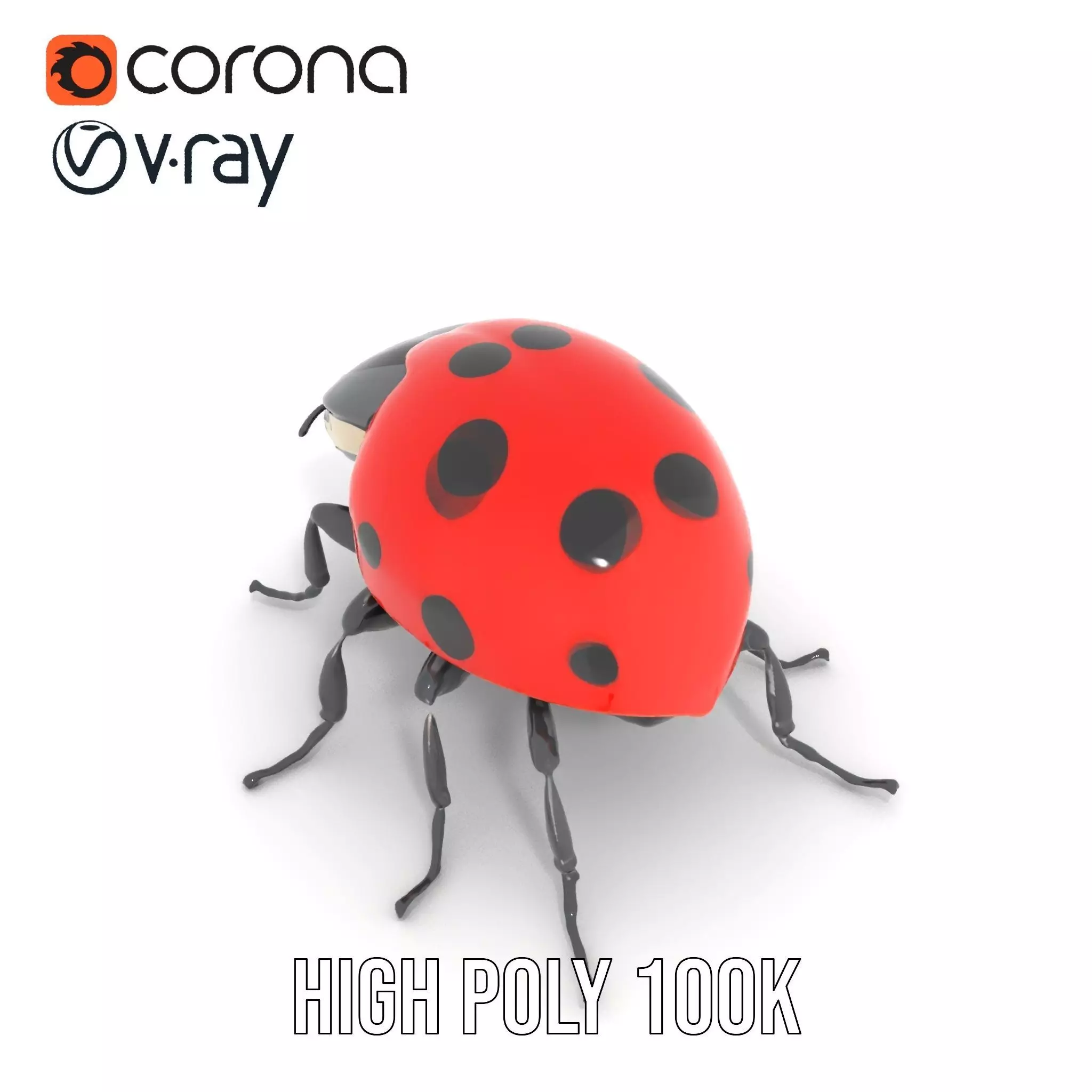 Vibrant Ladybug model pack Low-poly 3D model_32