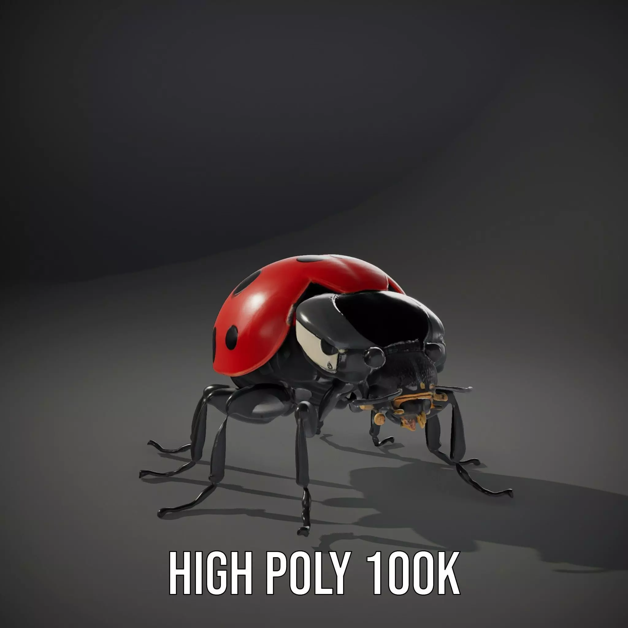 Vibrant Ladybug model pack Low-poly 3D model_10