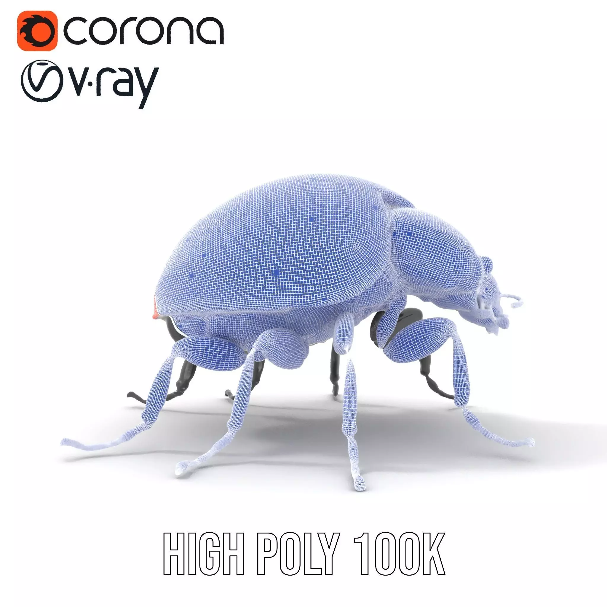 Vibrant Ladybug model pack Low-poly 3D model_31