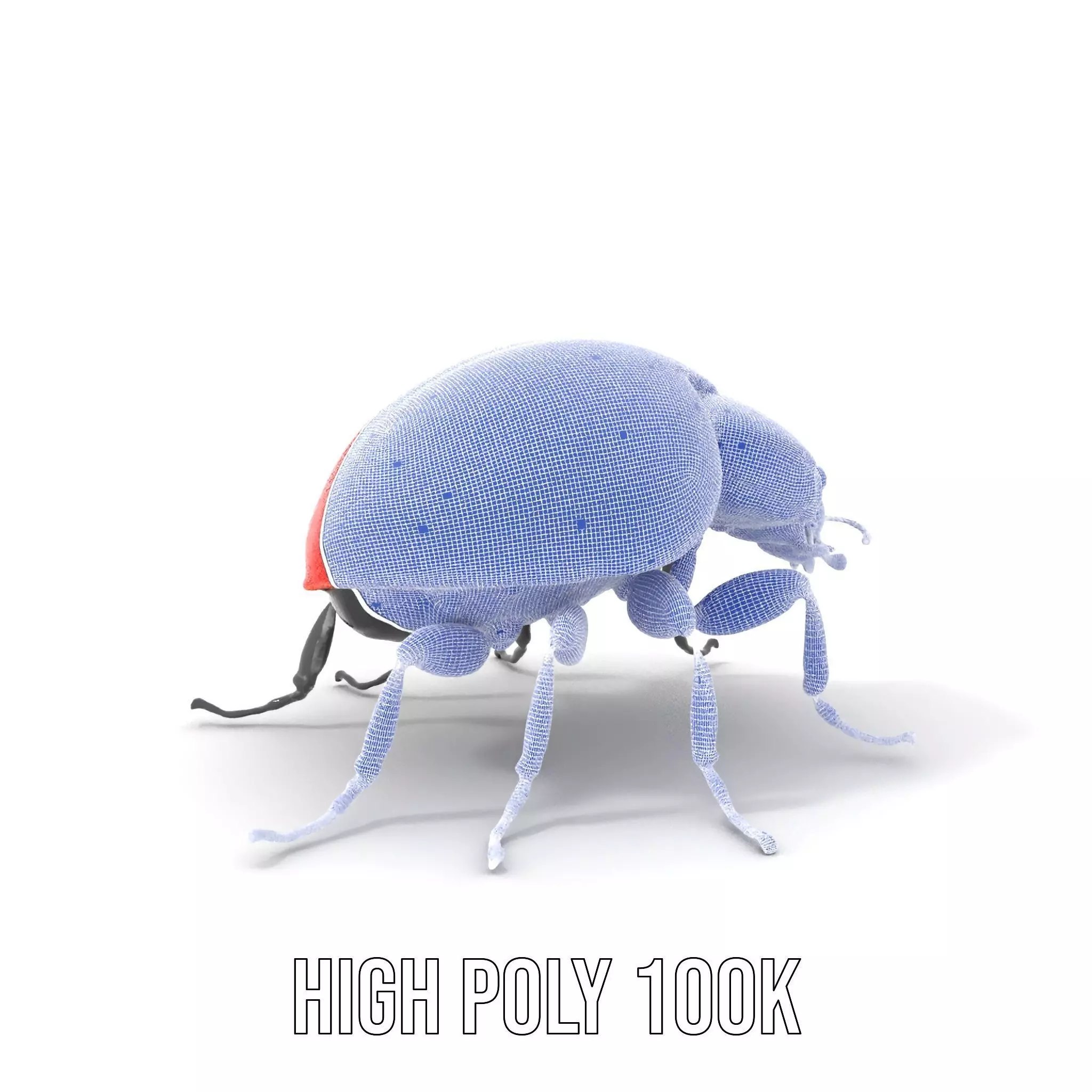 Vibrant Ladybug model pack Low-poly 3D model_4