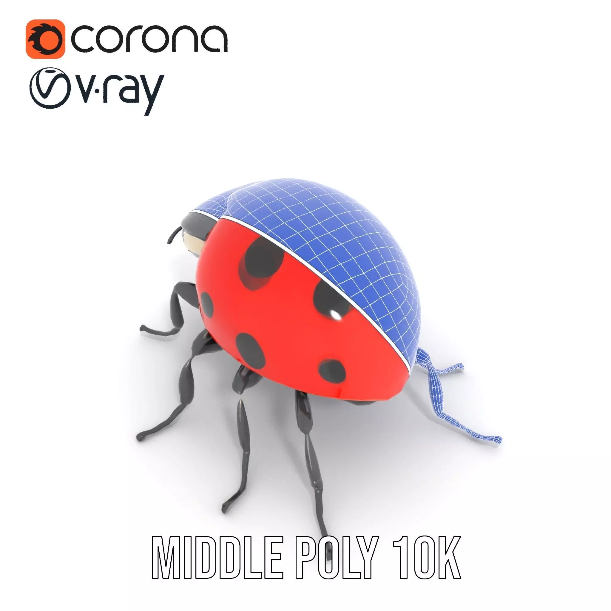 Vibrant Ladybug model pack Low-poly 3D model_13
