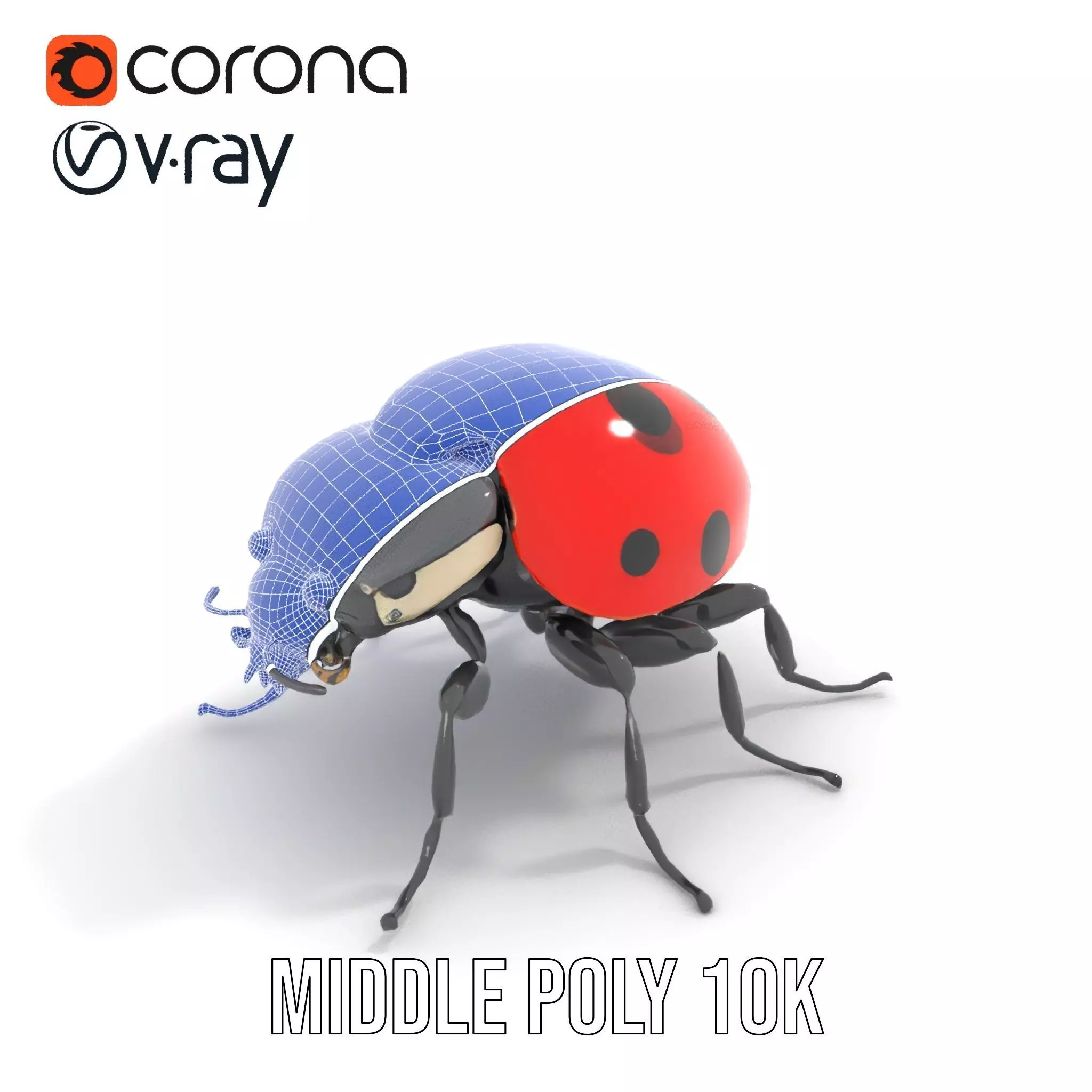 Vibrant Ladybug model pack Low-poly 3D model_18