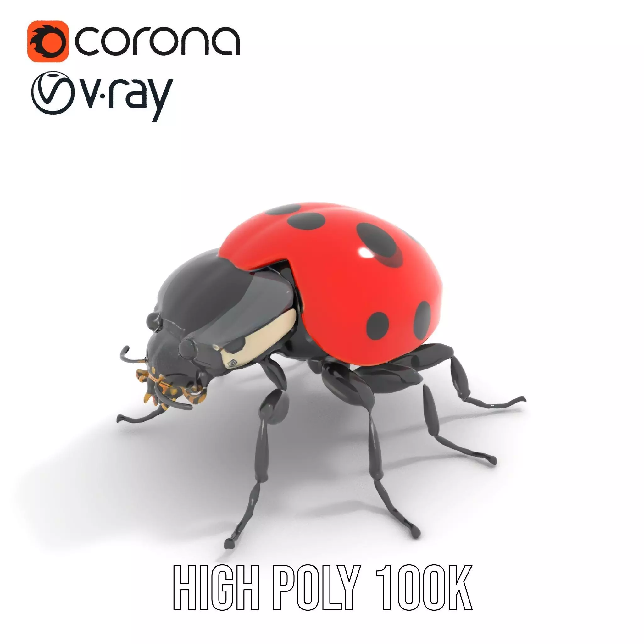 Vibrant Ladybug model pack Low-poly 3D model_15