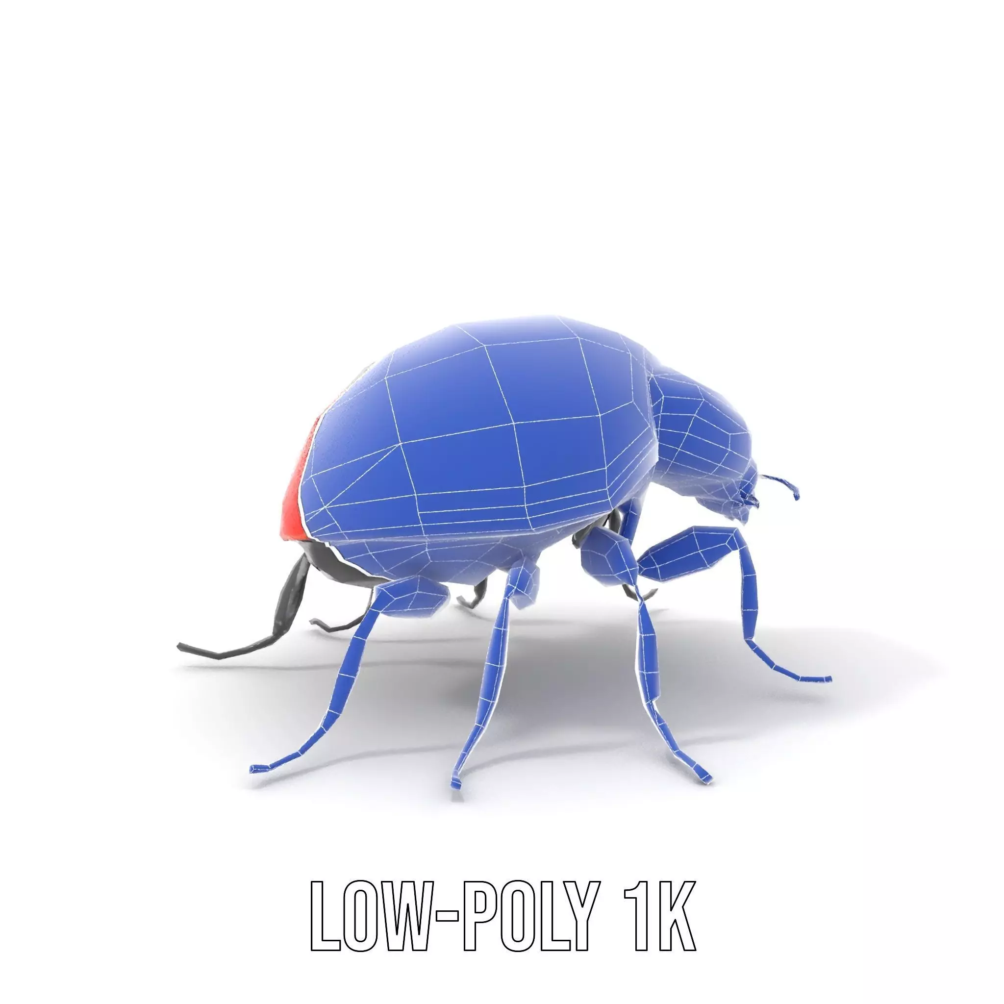 Vibrant Ladybug model pack Low-poly 3D model_17