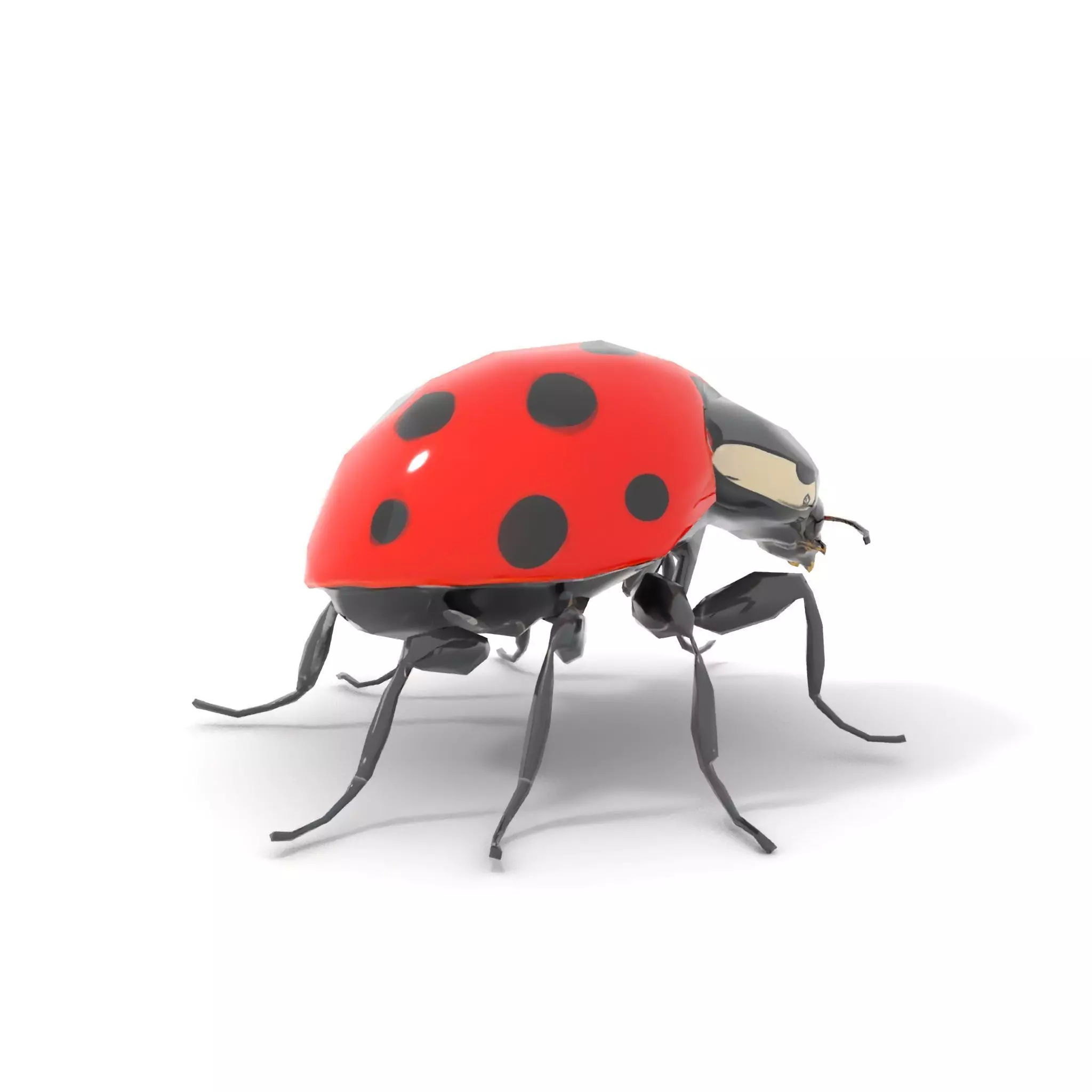 Vibrant Ladybug model pack Low-poly 3D model_7