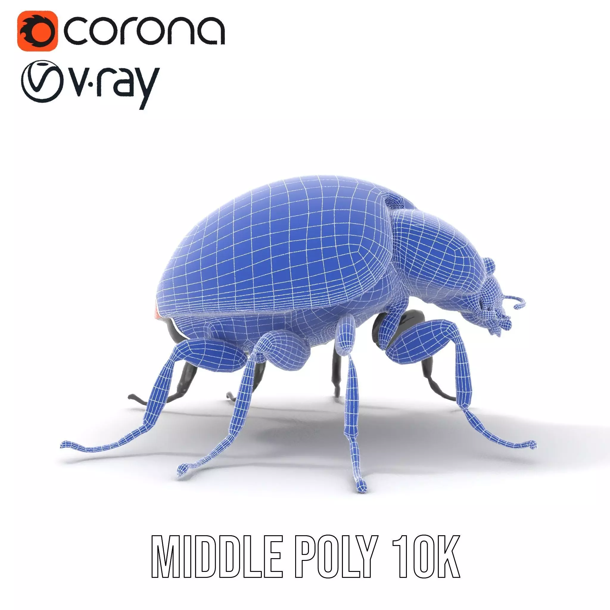 Vibrant Ladybug model pack Low-poly 3D model_23