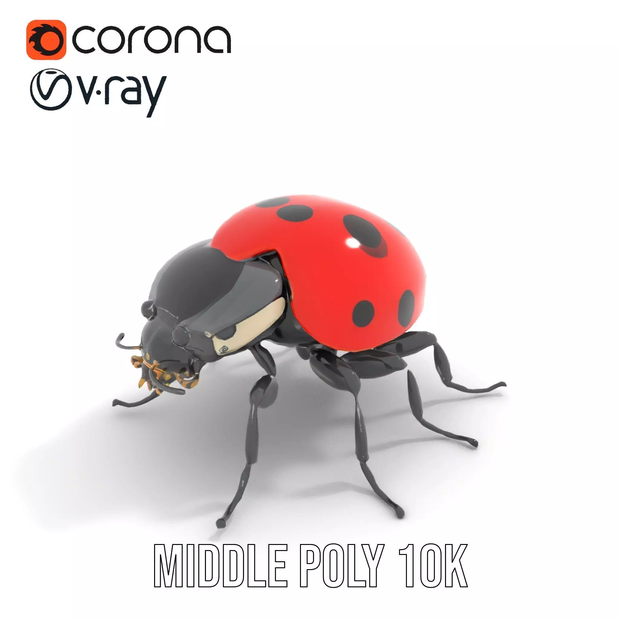 Vibrant Ladybug model pack Low-poly 3D model_16