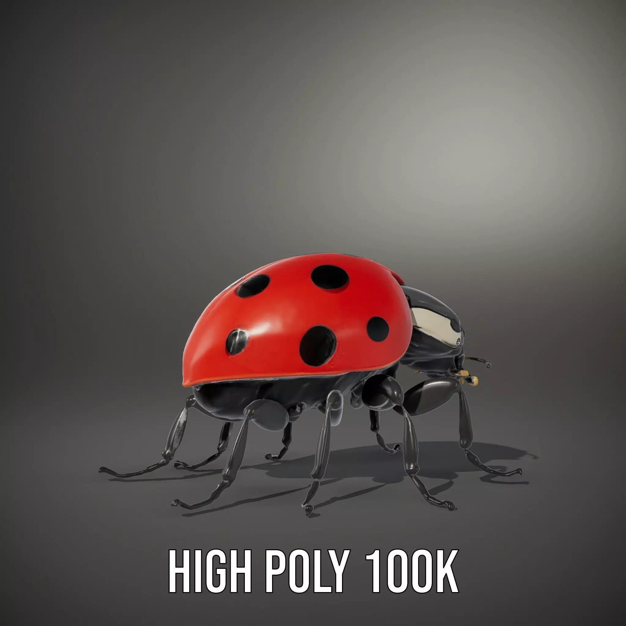 Vibrant Ladybug model pack Low-poly 3D model_8
