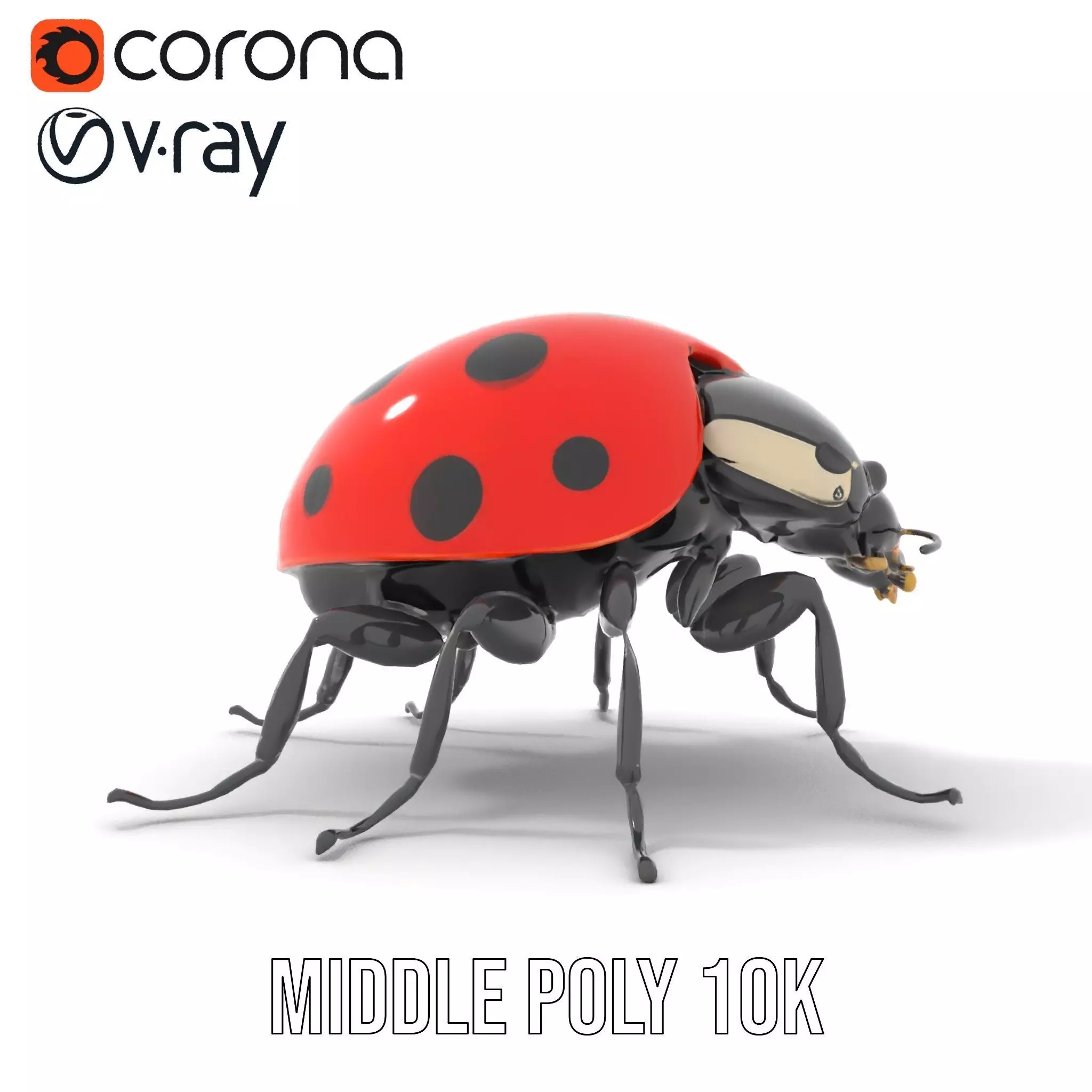 Vibrant Ladybug model pack Low-poly 3D model_11