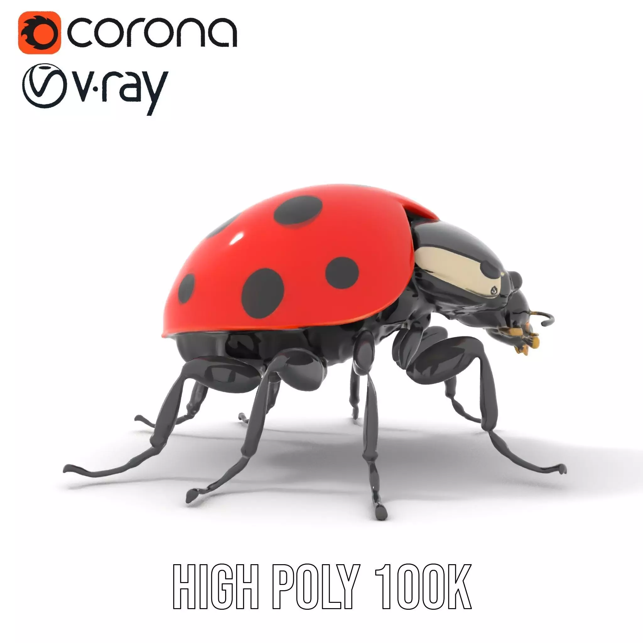 Vibrant Ladybug model pack Low-poly 3D model_20