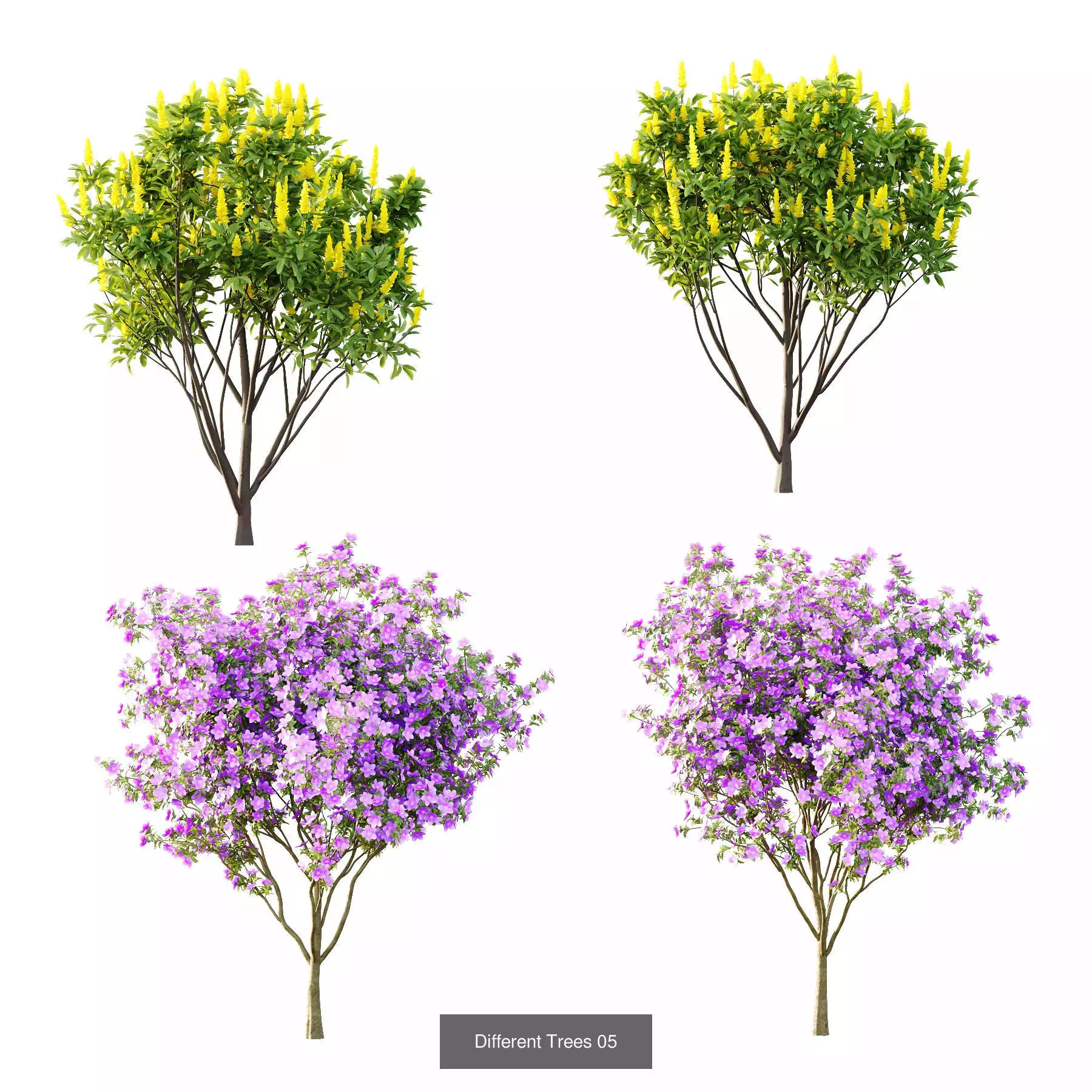 Excellent collection of Tree plants 26 Different Models 0017 _7