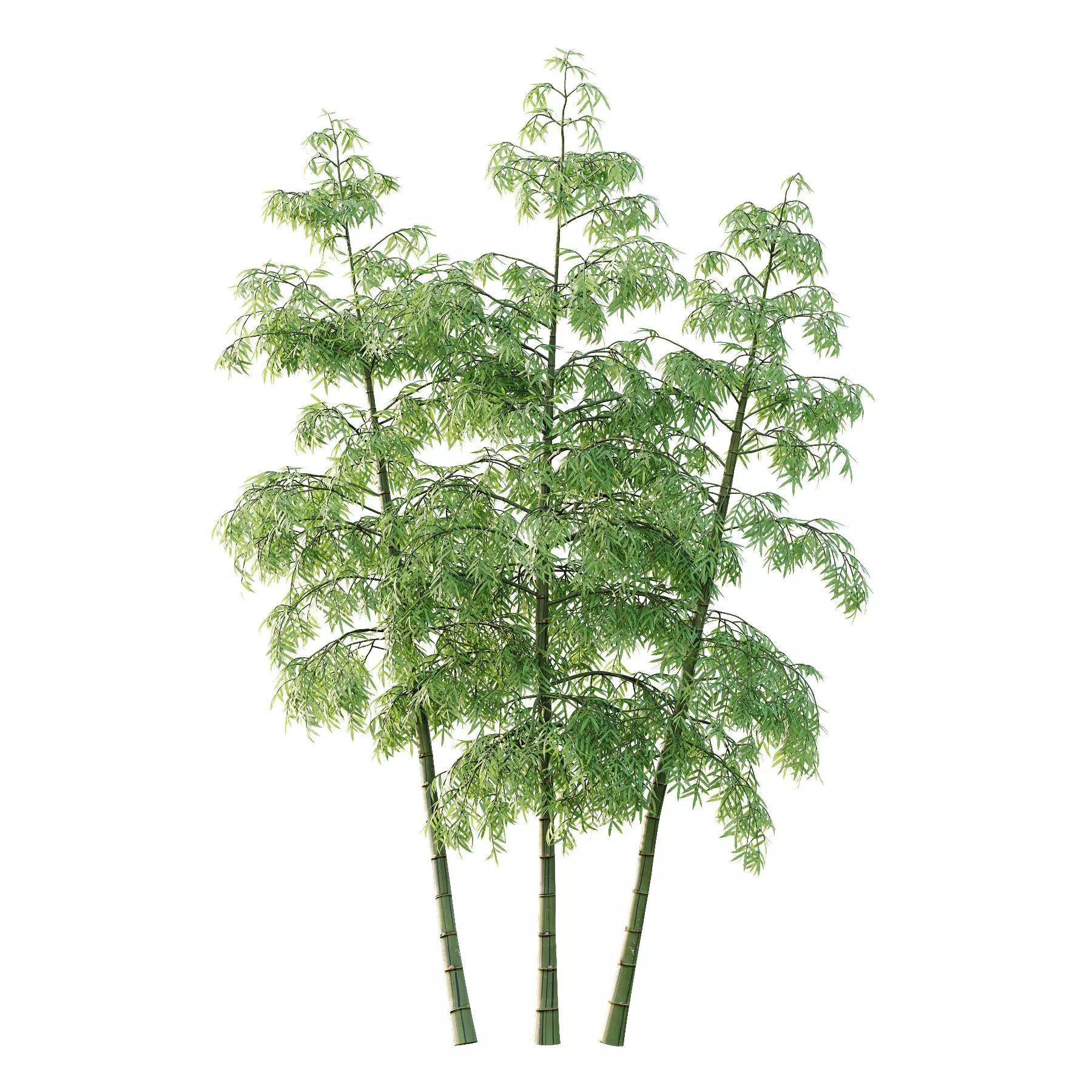 Excellent collection of Tree plants 26 Different Models 0017 _13