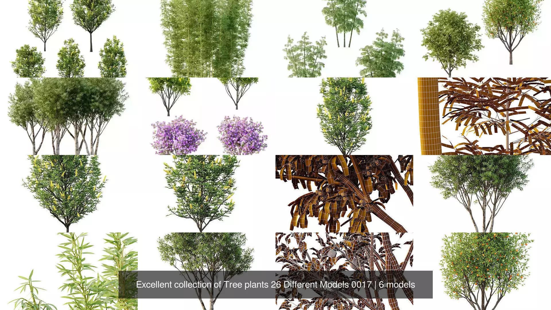 Excellent collection of Tree plants 26 Different Models 0017 _1