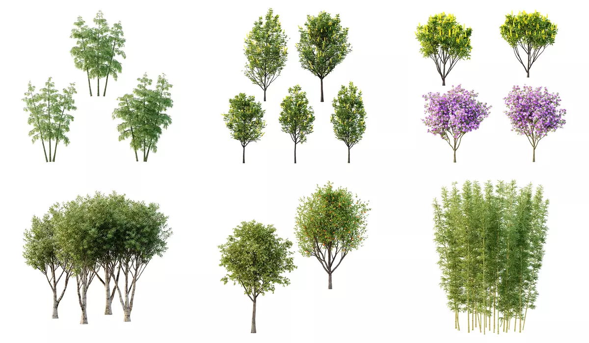 Excellent collection of Tree plants 26 Different Models 0017 _0